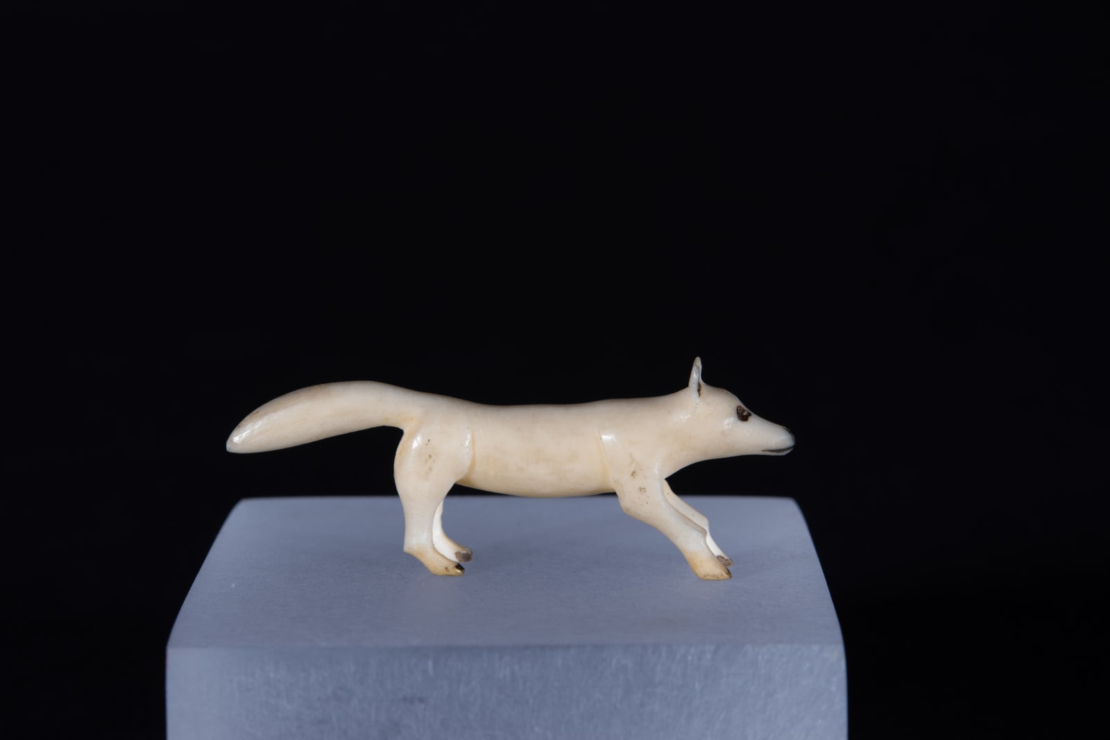 Unidentified Nunatsiavut / Non-identifié Nunatsiavut, Fox / renard, Ca. 1890-1900