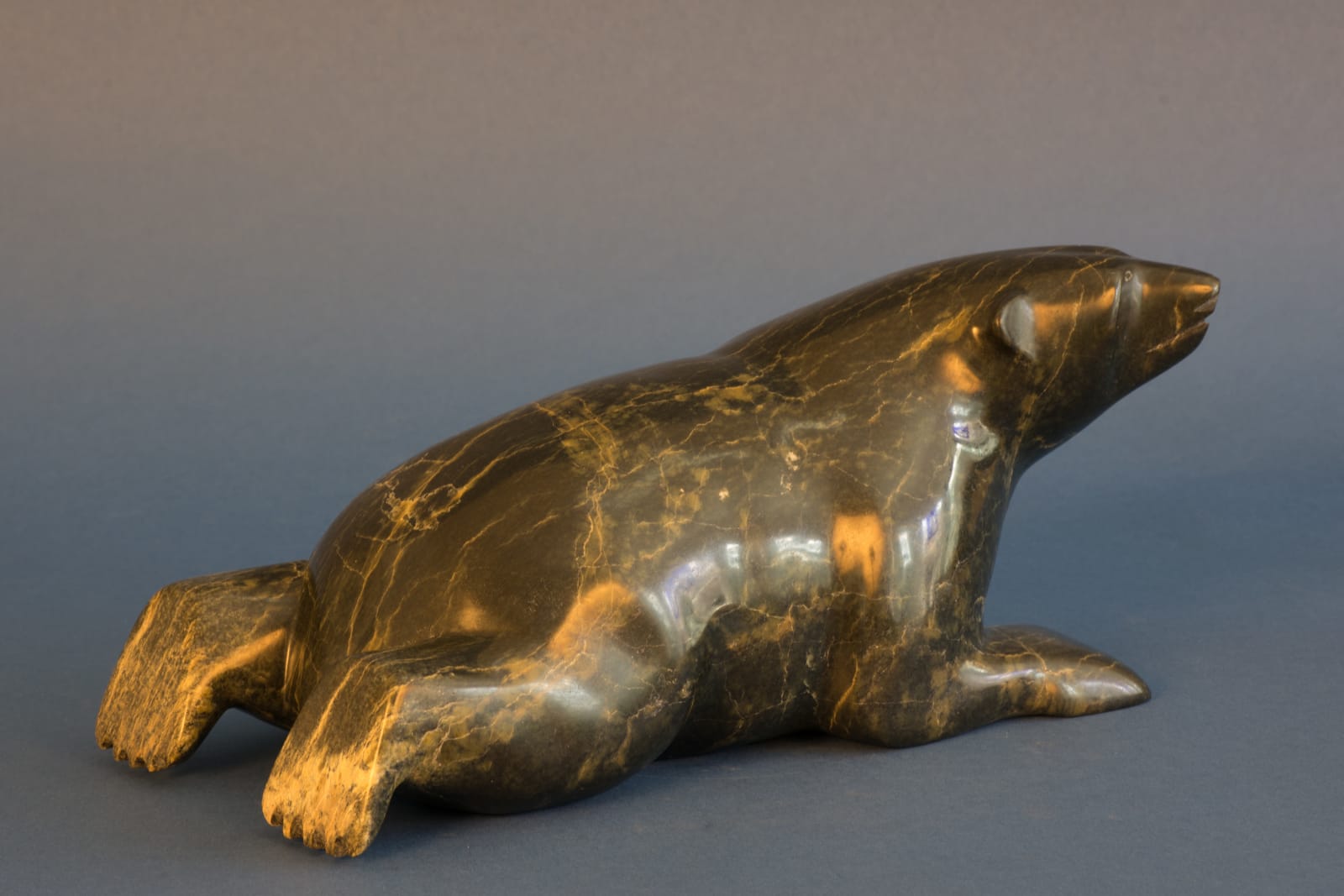 Noah Jaw, Resting Bear / ours au repos, ca. 2015