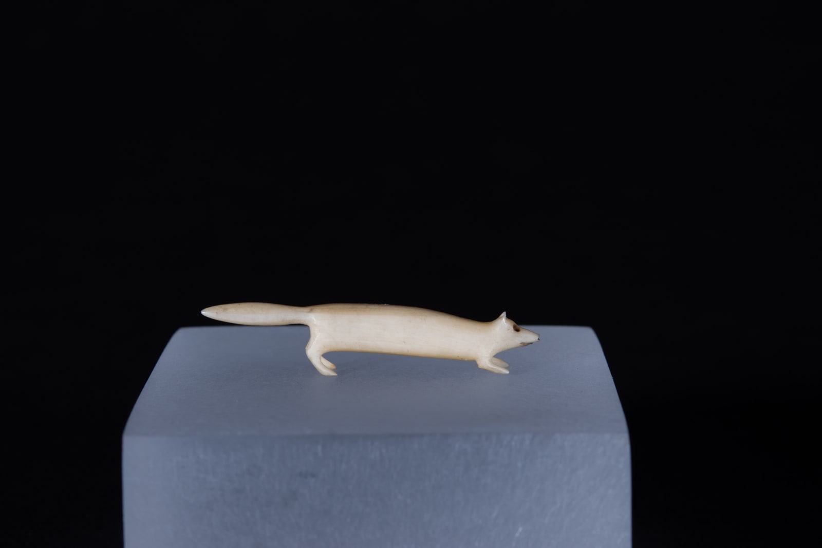 Unidentified Nunatsiavut / Non-identifié Nunatsiavut, Ermine / hermine, Ca. 1890-1900