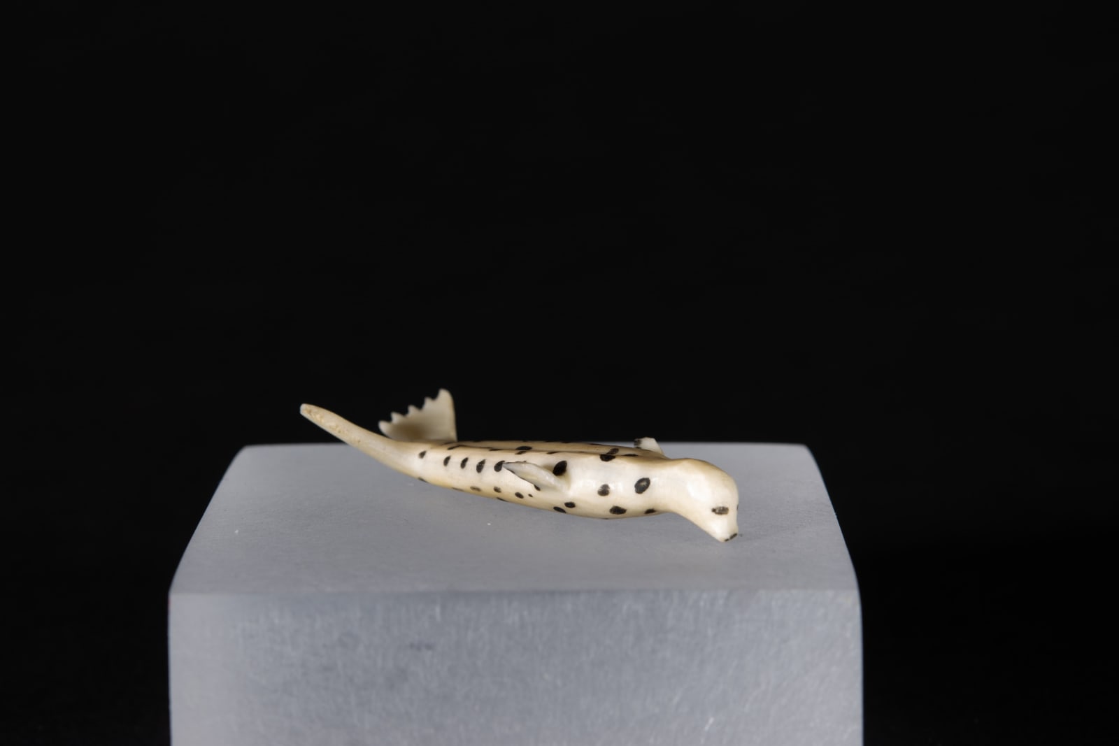 Unidentified Nunatsiavut / Non-identifié Nunatsiavut, Seal / phoque, Ca. 1890-1900