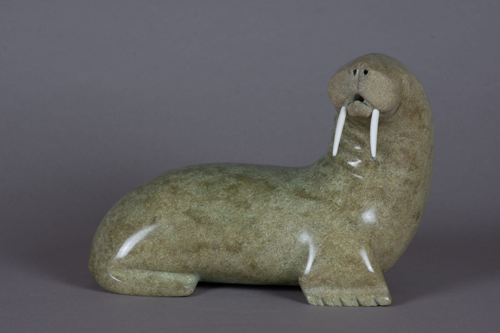 Nalenik Temela, Walrus / morse, ca. 1975