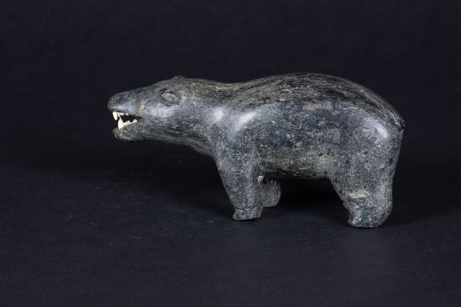 Kiakshuk, Polar Bear / ours polaire, ca. 1955