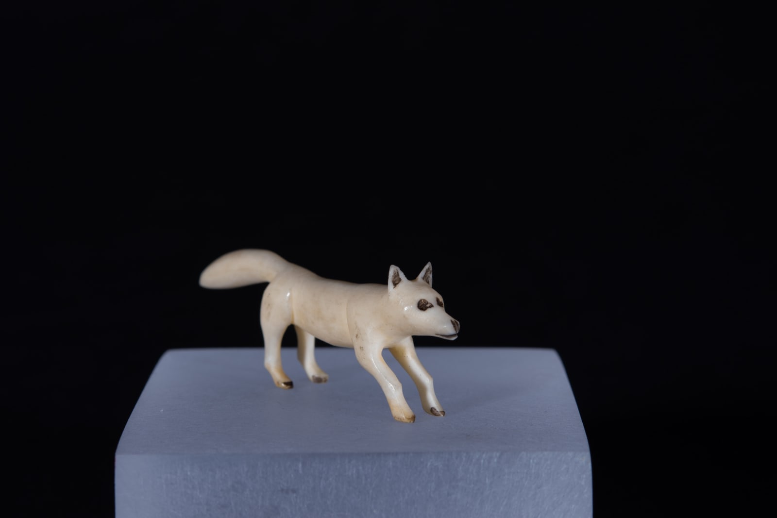 Unidentified Nunatsiavut / Non-identifié Nunatsiavut, Fox / renard, Ca. 1890-1900