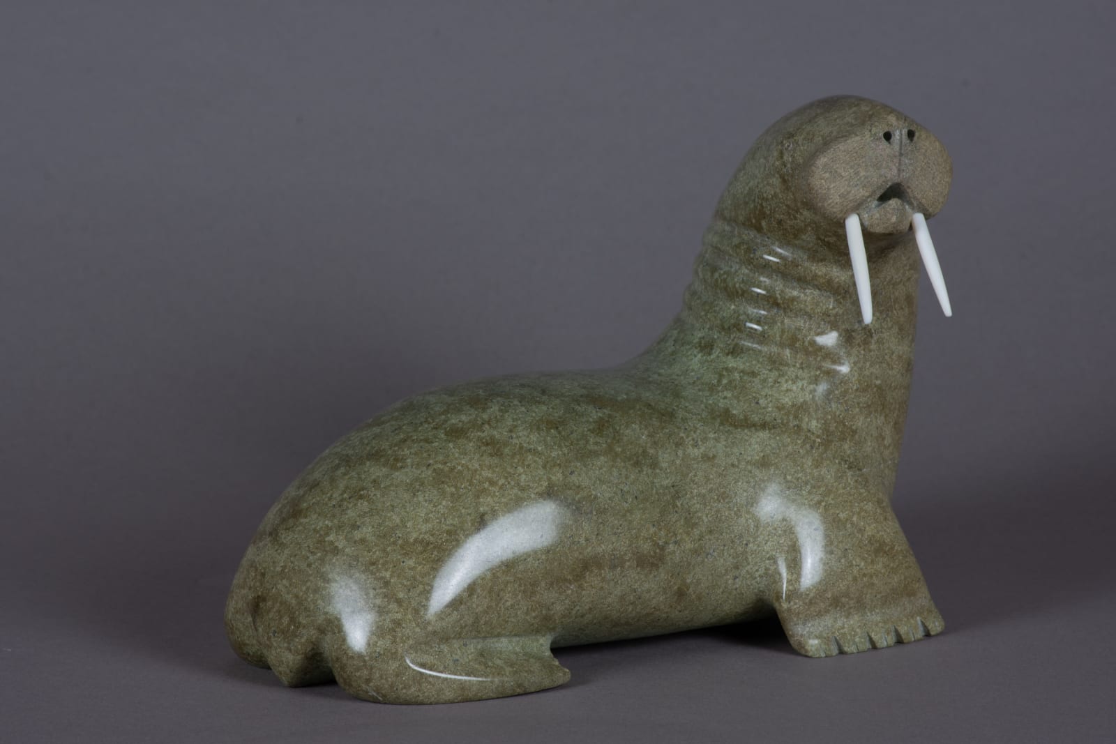 Nalenik Temela, Walrus / morse, ca. 1975