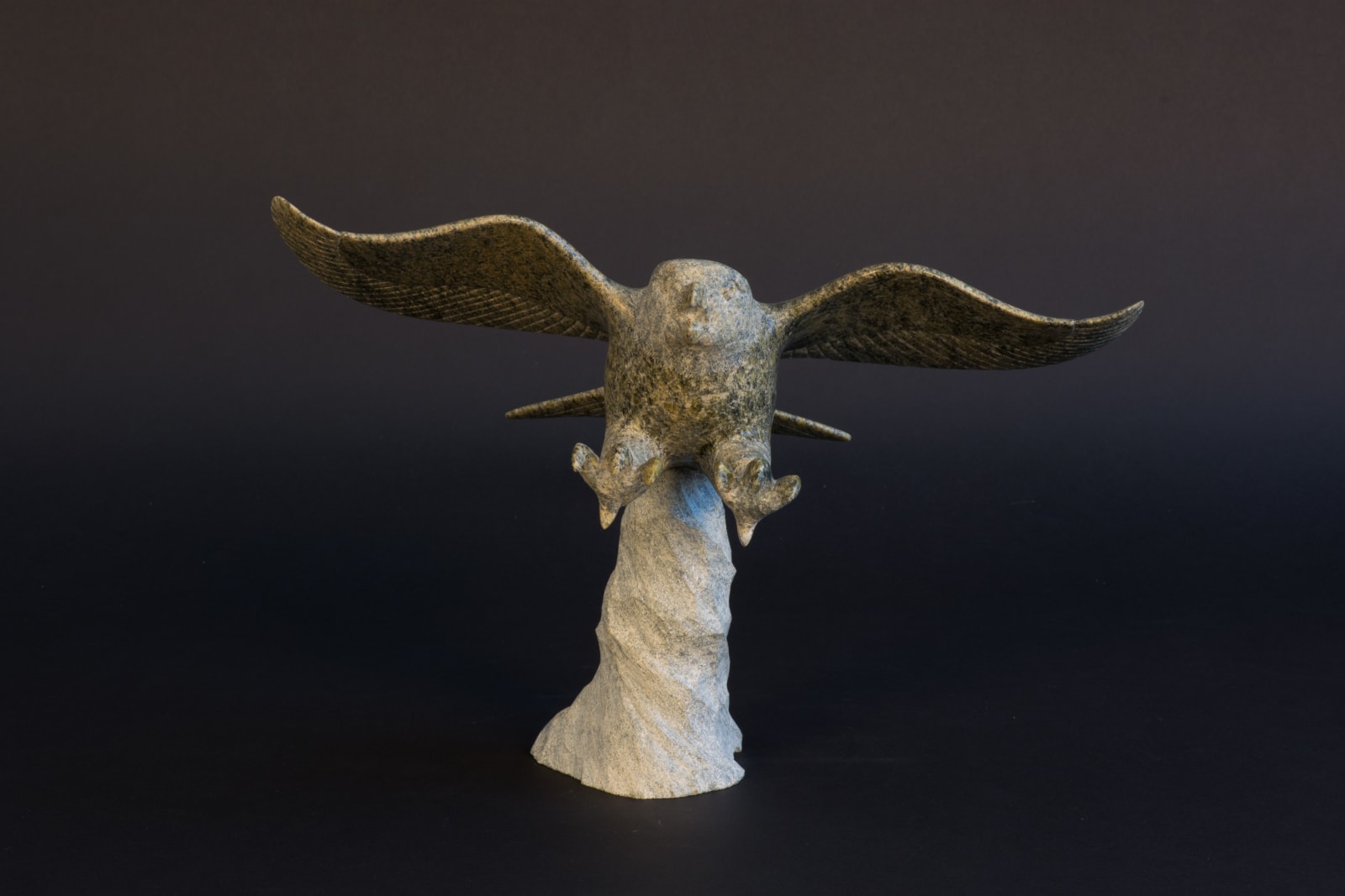 Pitsiula Qimirpik, Falcon / faucon, ca. 2000