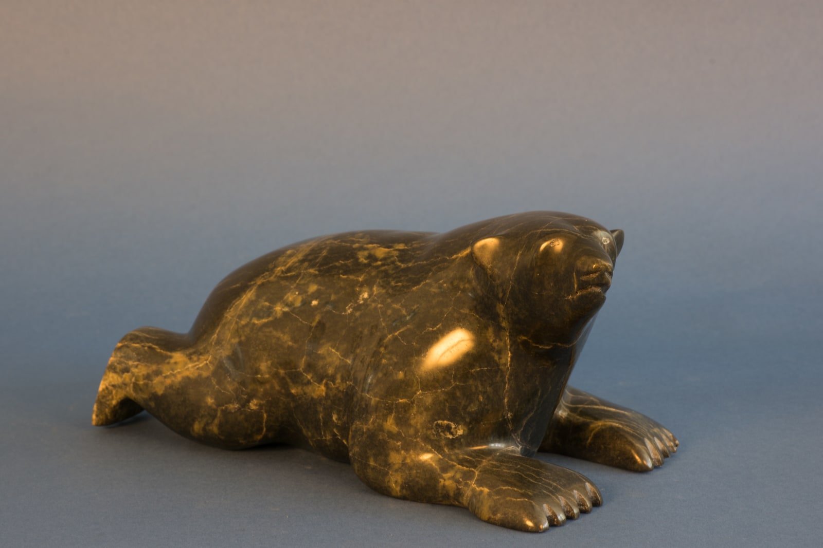 Noah Jaw, Resting Bear / ours au repos, ca. 2015