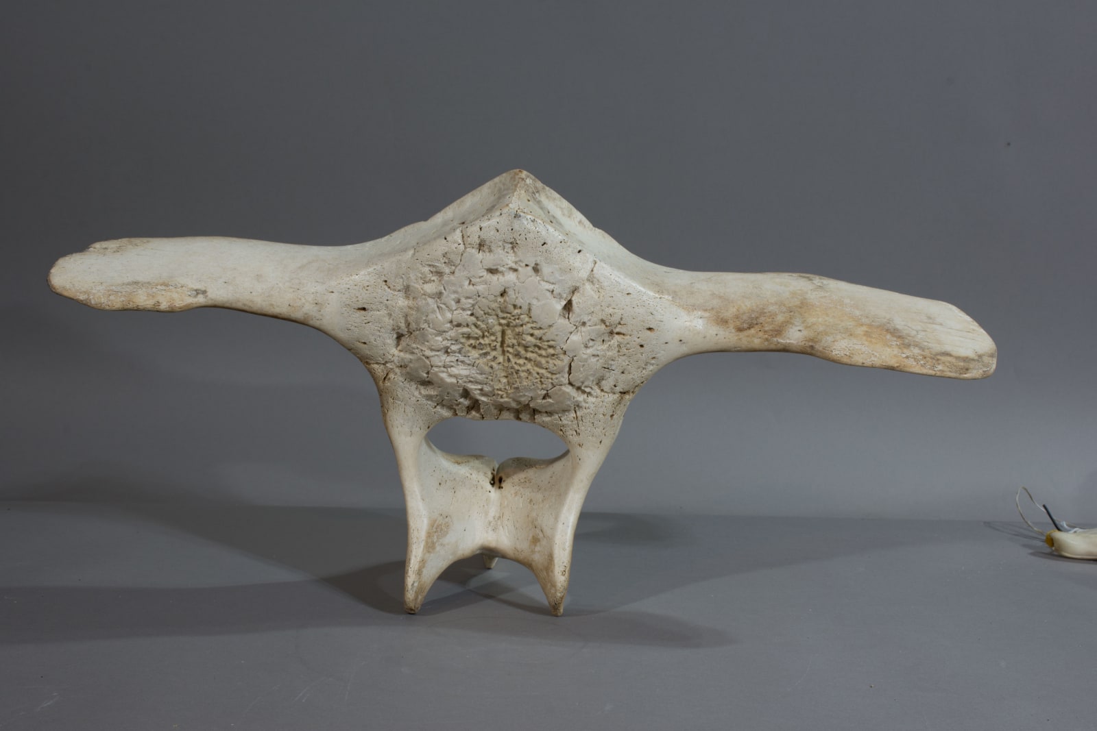 Nuveeya Ipeelie, Shaman, ca. 1970