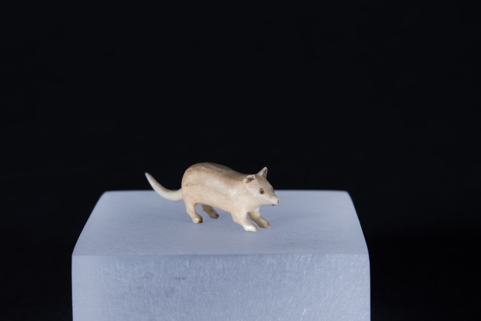 Unidentified Nunatsiavut / Non-identifié Nunatsiavut, Siksik (Arctic Ground Squirrel / spermophile arctique), Ca. 1890-1900
