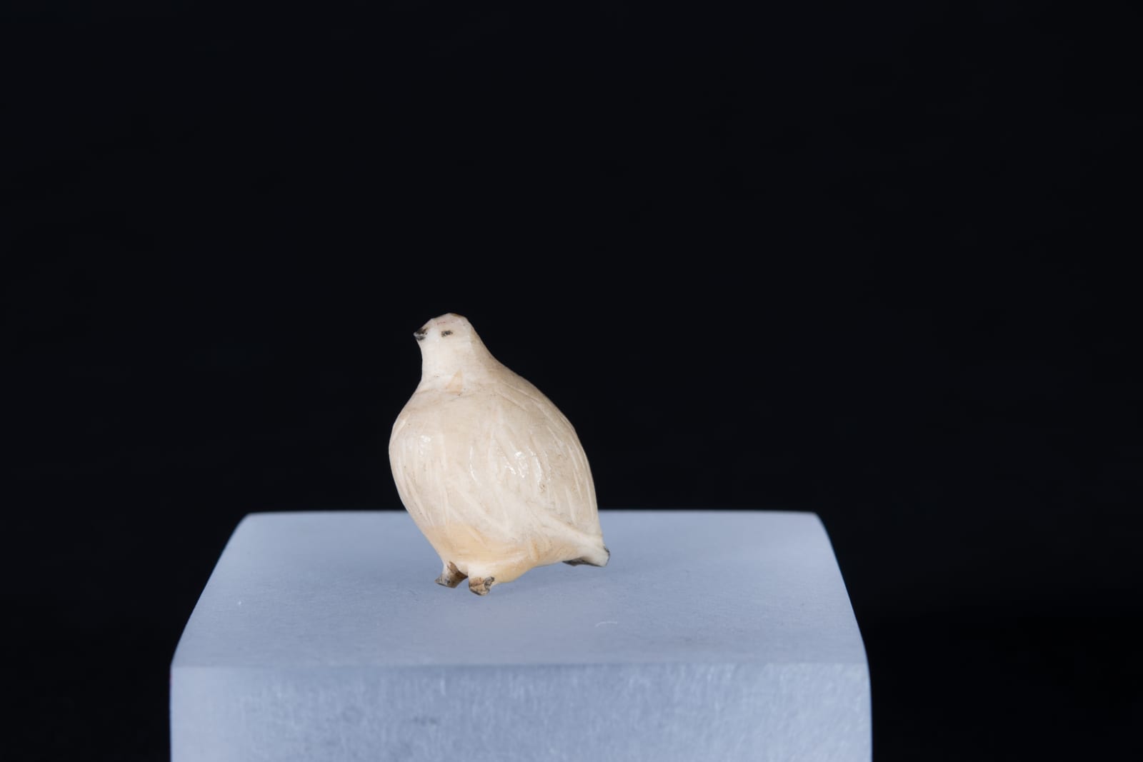 Unidentified Nunatsiavut / Non-identifié Nunatsiavut, Ptarmigan / lagopède, Ca. 1890-1900