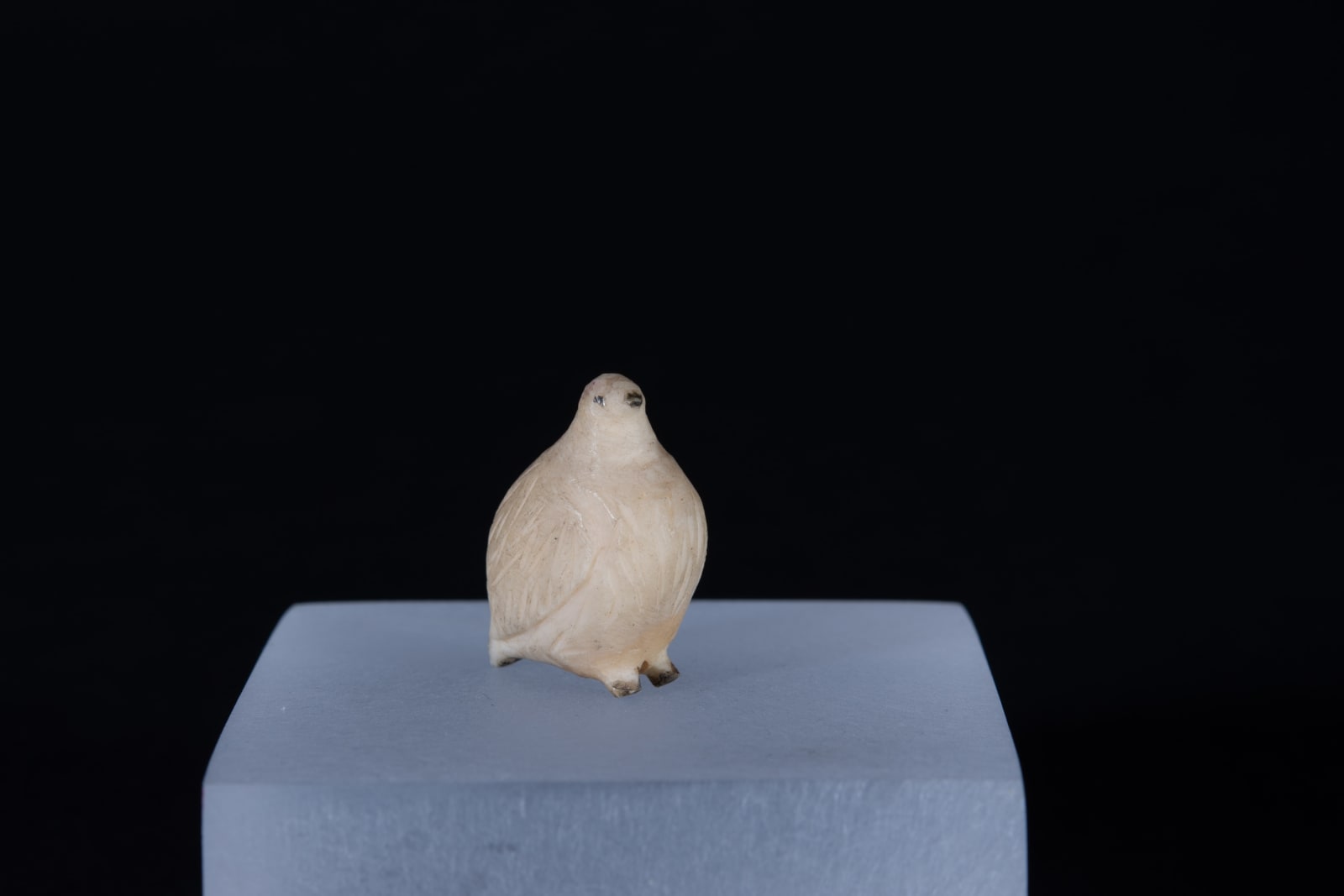 Unidentified Nunatsiavut / Non-identifié Nunatsiavut, Ptarmigan / lagopède, Ca. 1890-1900