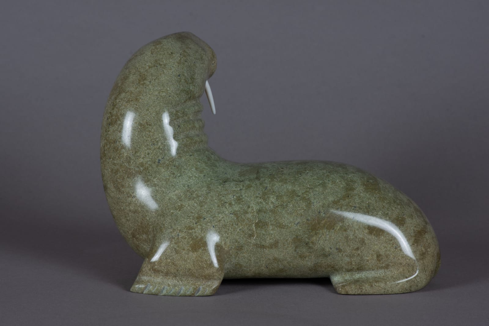 Nalenik Temela, Walrus / morse, ca. 1975