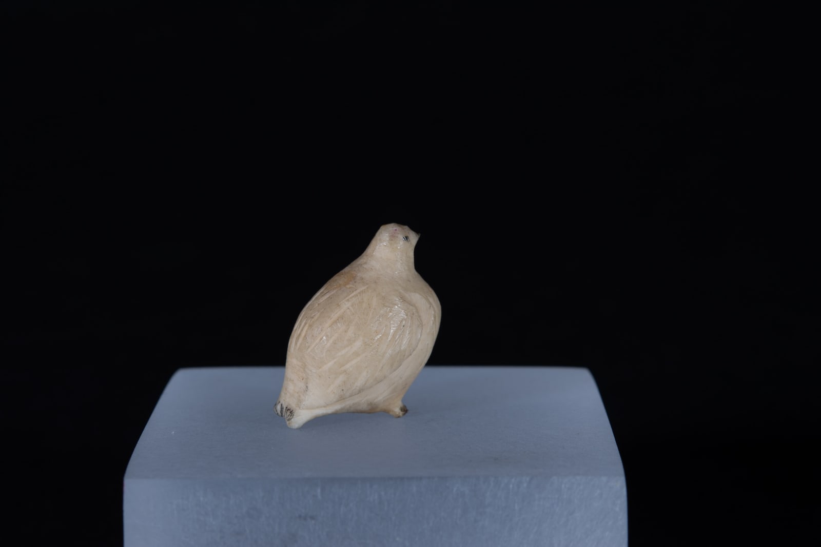 Unidentified Nunatsiavut / Non-identifié Nunatsiavut, Ptarmigan / lagopède, Ca. 1890-1900
