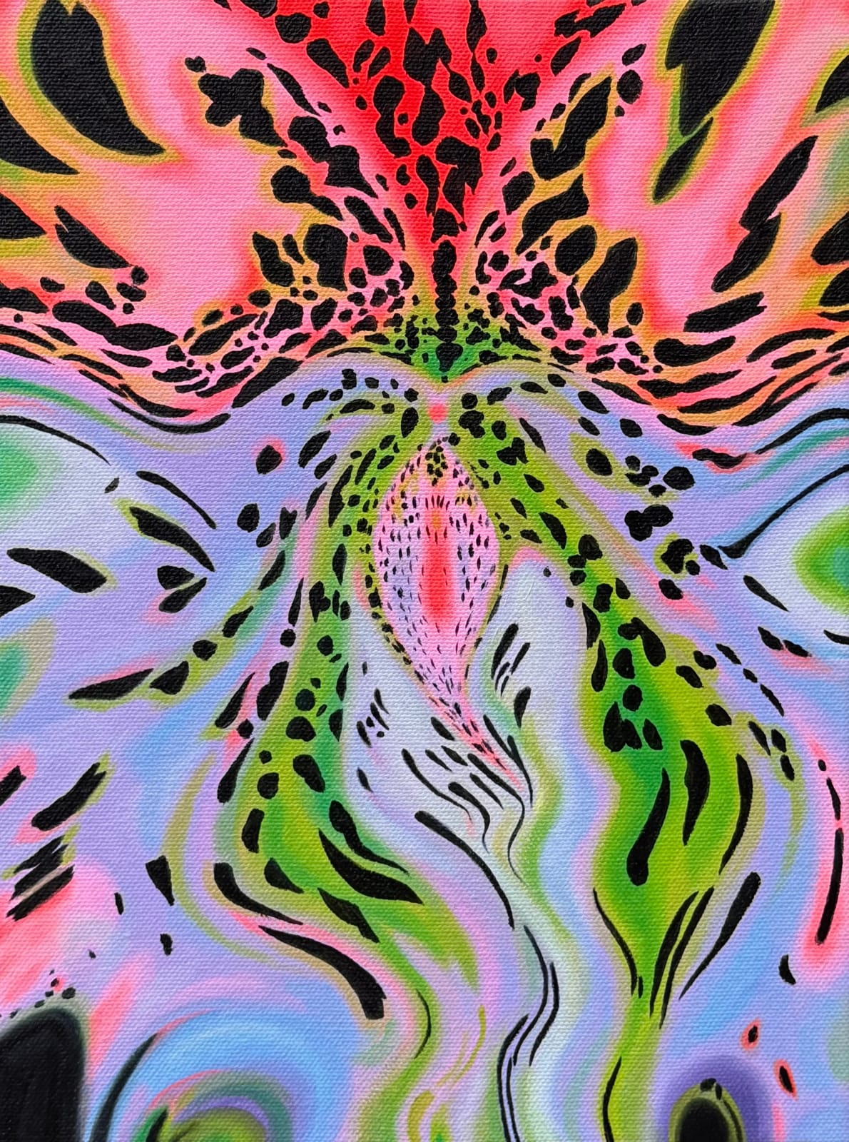 Hayley Youngs, Watermelon Orchid, 2025