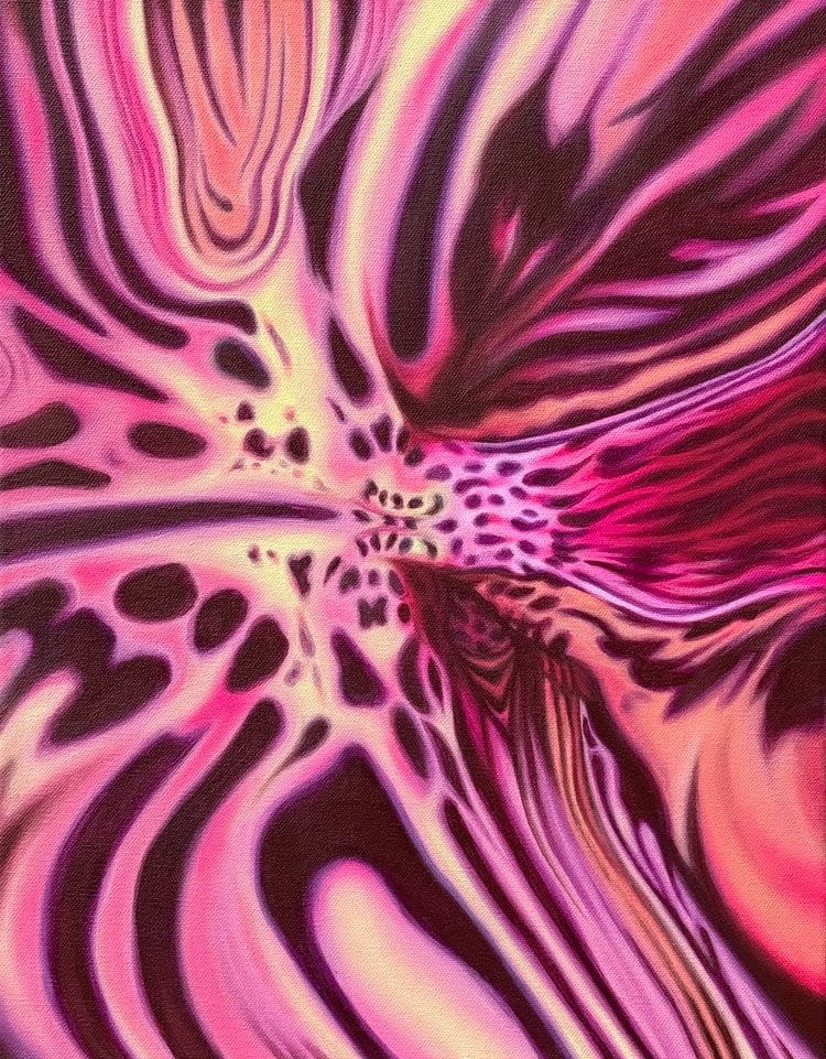 Hayley Youngs, Orchid Sherbet, 2025