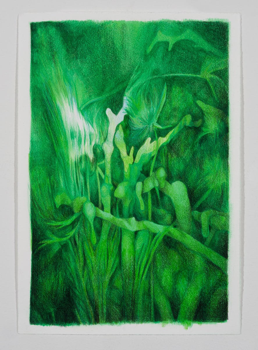 Hannah Antalek, Overgrowth, 2024