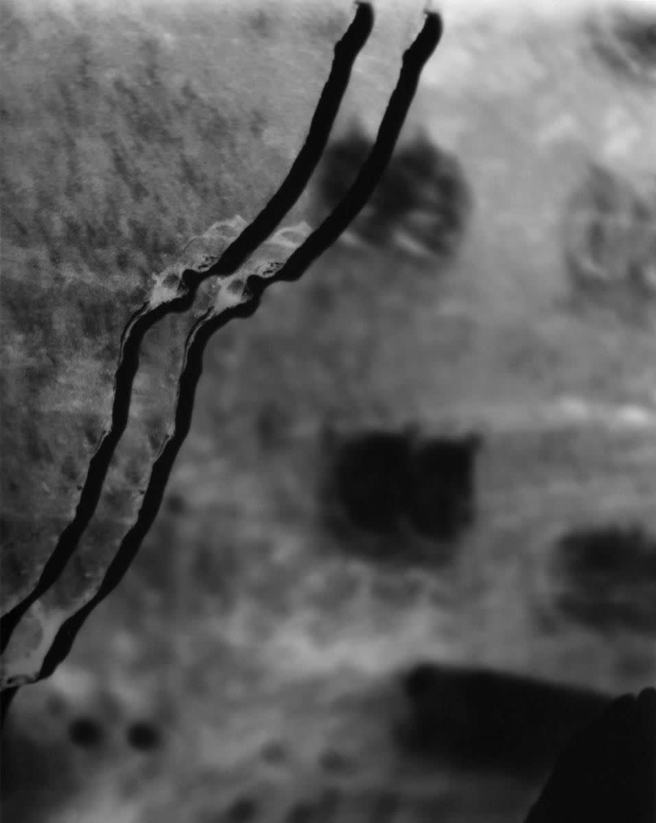 Shahrzad Kamel, Fragments I, 2016
