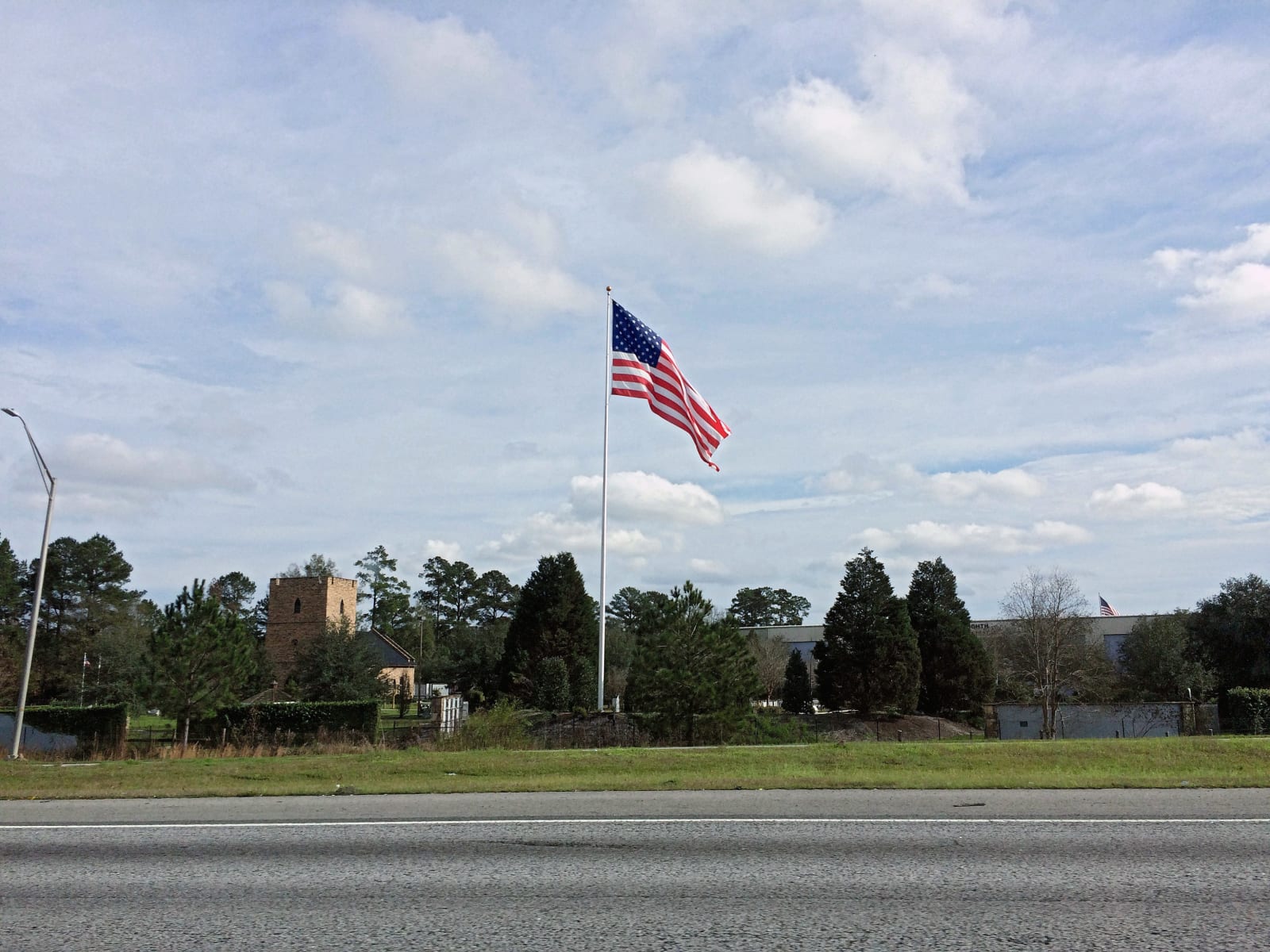 Arash Fayez, A flag becoming a tree, 2017