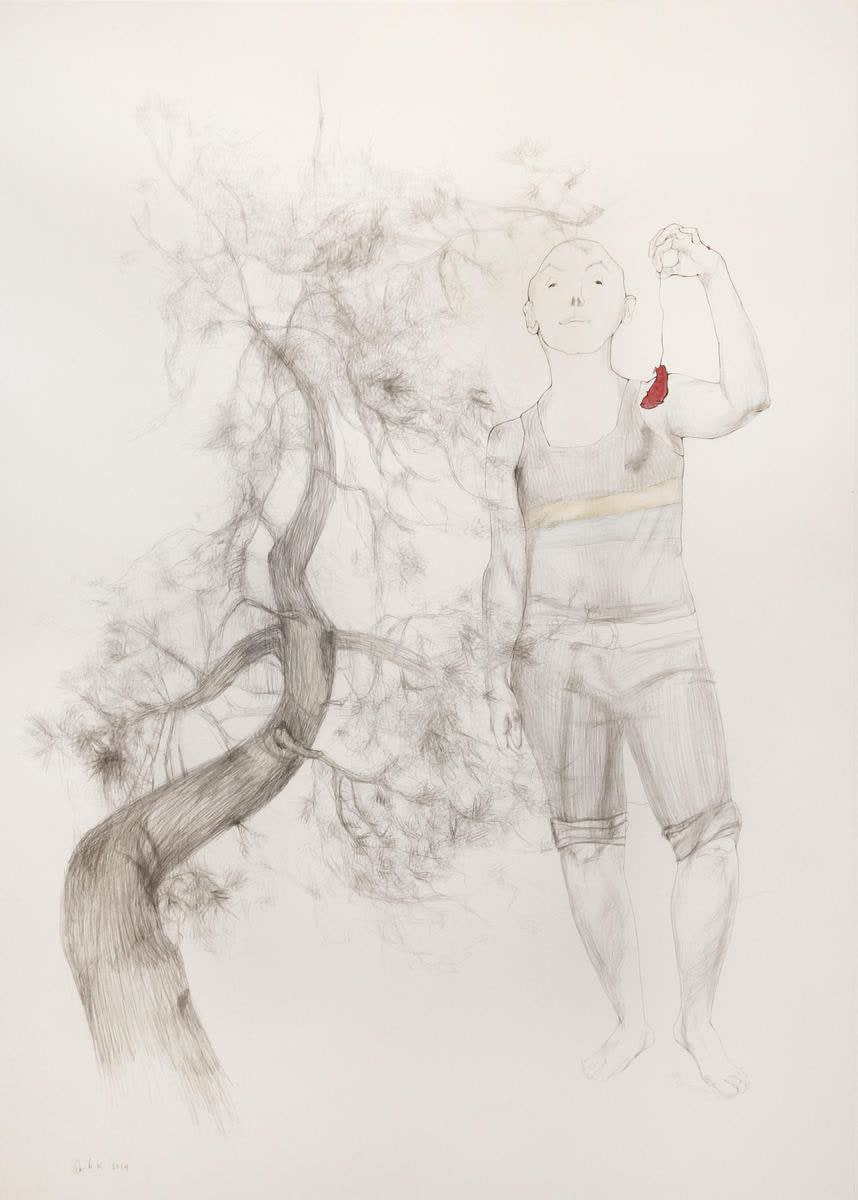 Avish Khebrehzadeh, Untitled #5, 2014