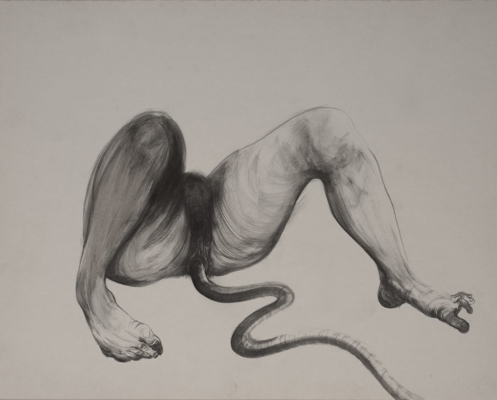 Seyed Amin Bagheri, Untitled, 2019-2021