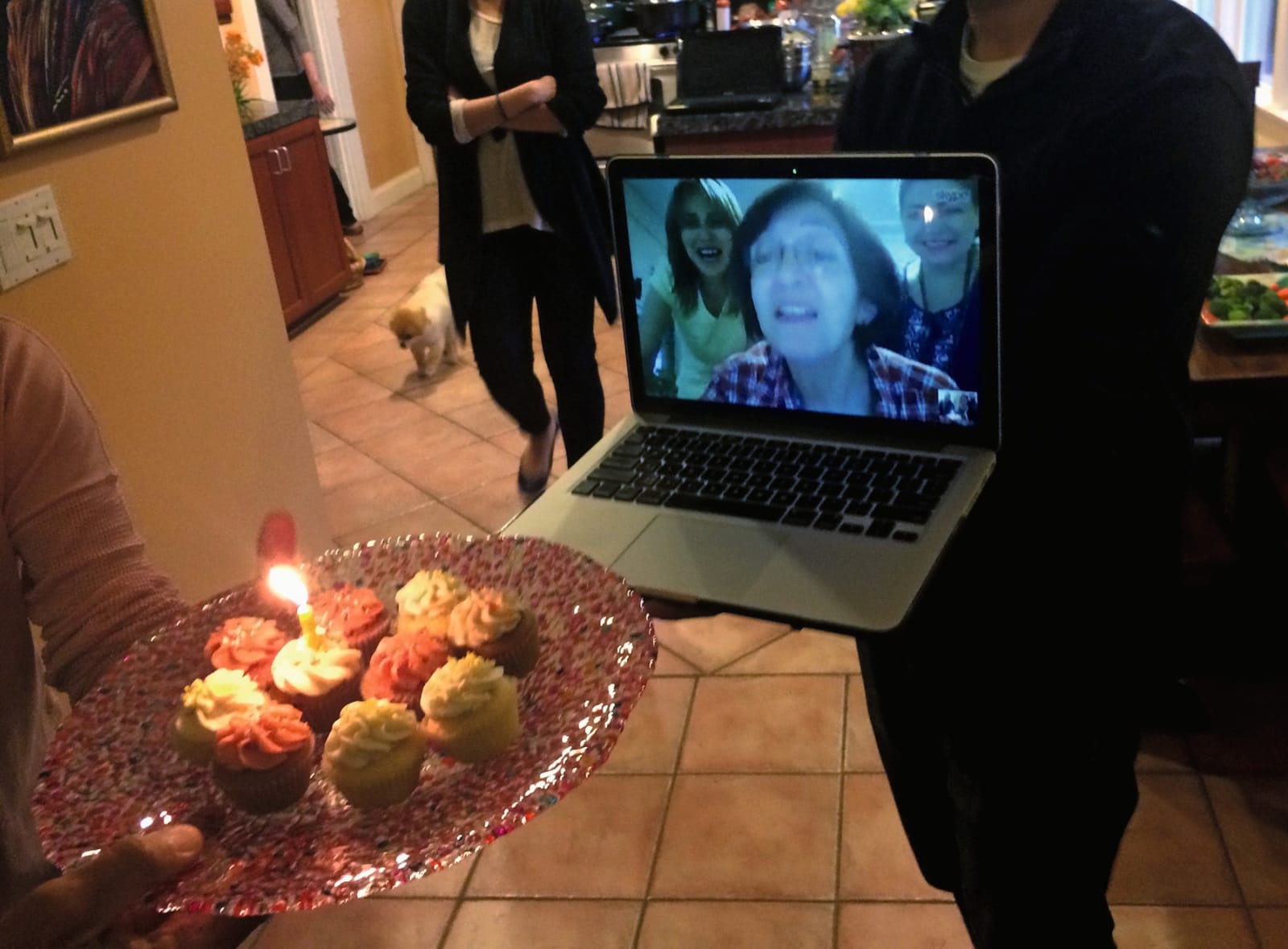 Arash Fayez, Online birthday, 2014