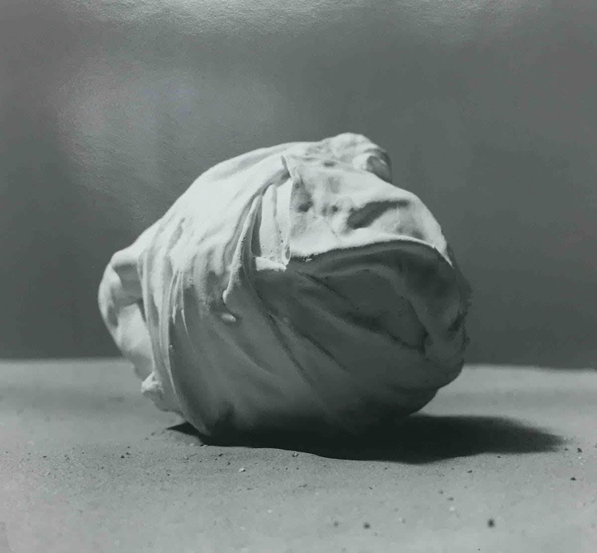 Reza Aramesh, Action: 169, 2016