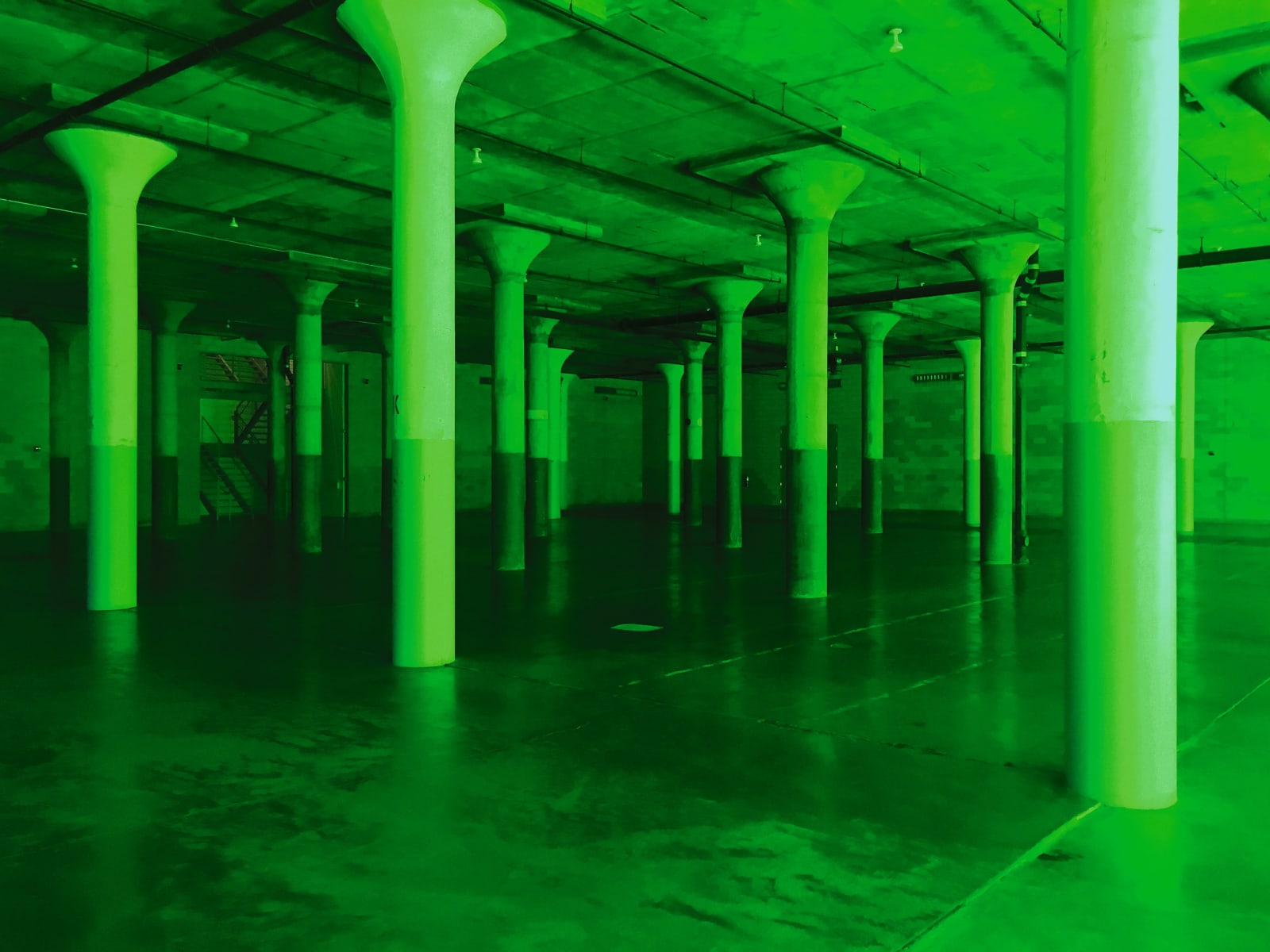 Arash Fayez, Limbo, 2016