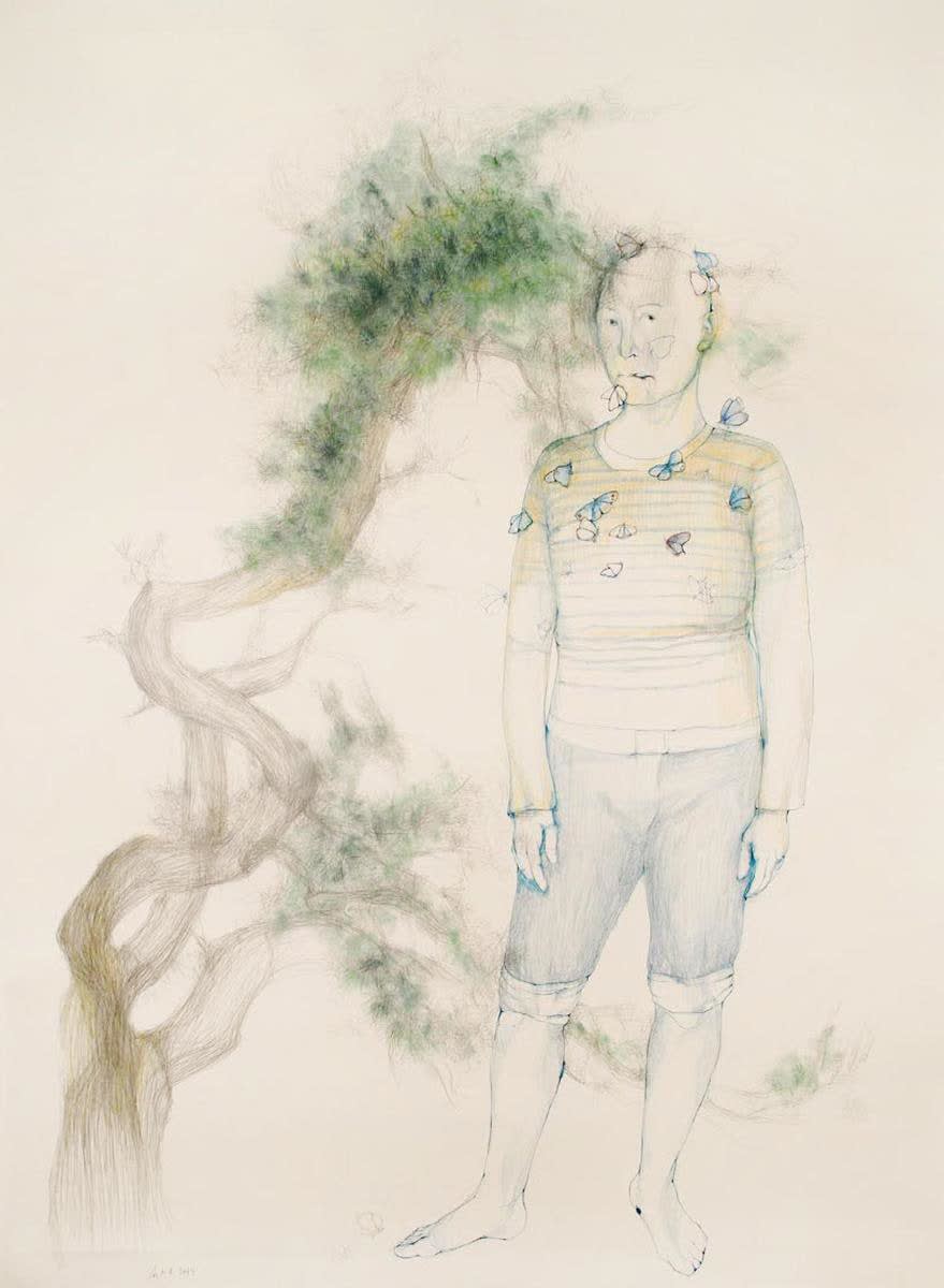 Avish Khebrehzadeh, Butterflies, 2013