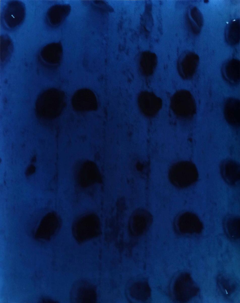 Shahrzad Kamel, Familiar places, 2016