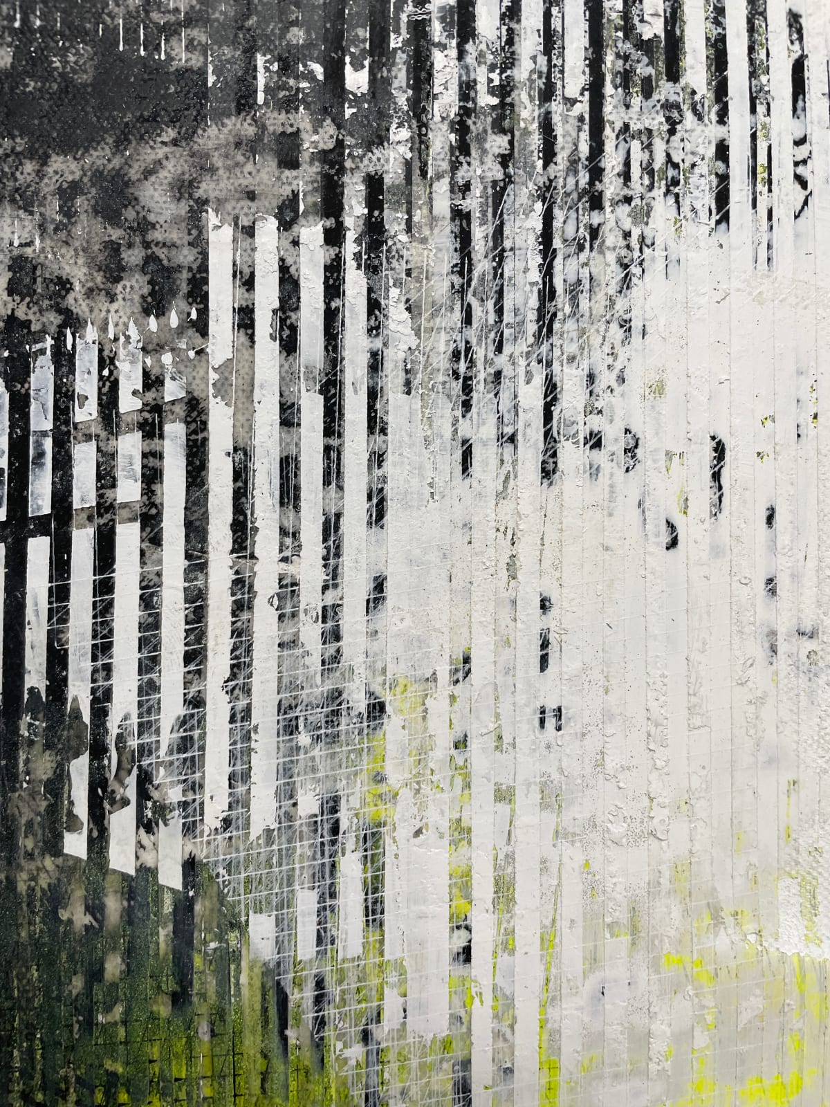 Nadir Souirgi, Pine Planes (Stissing Mountain), 2025