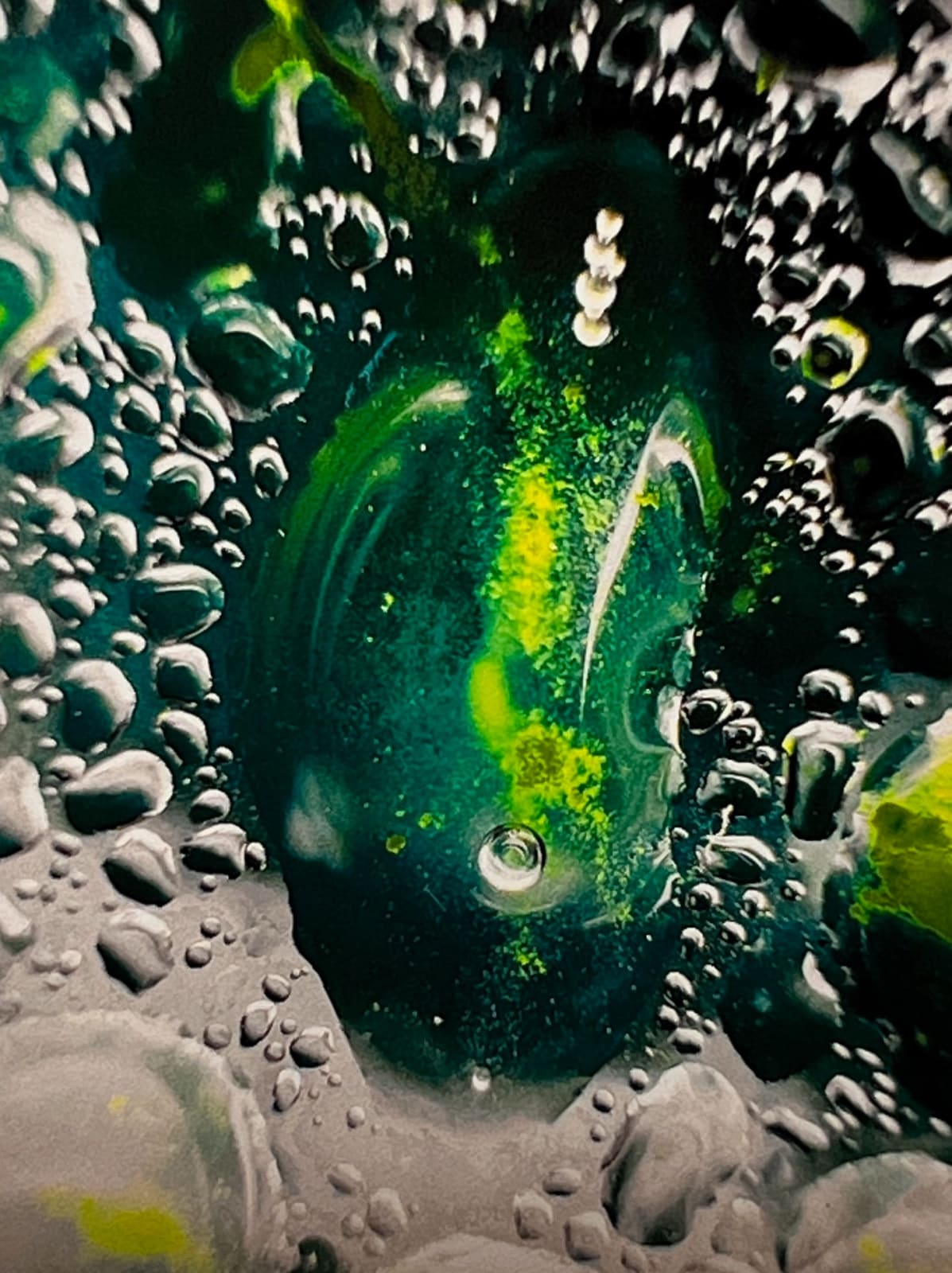 Vladimir Kanic, Photosynthetic Archives I pt. VI, 1/12, 2025