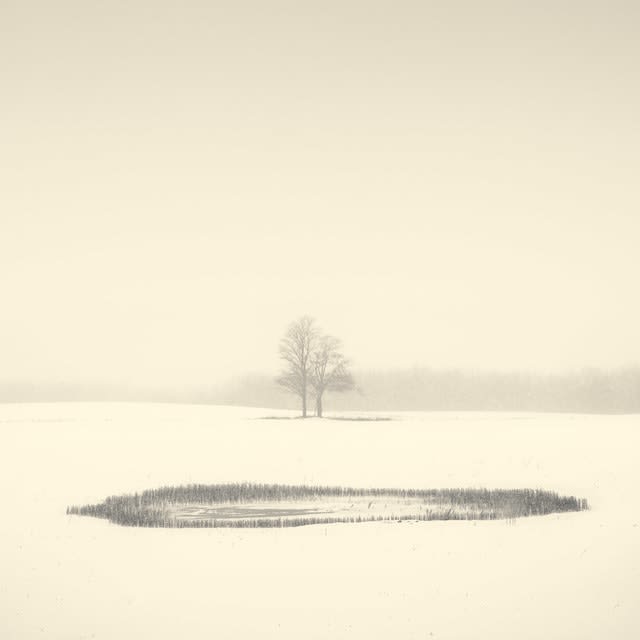 Peter Dušek, Frozen Pond 2/25, 2014