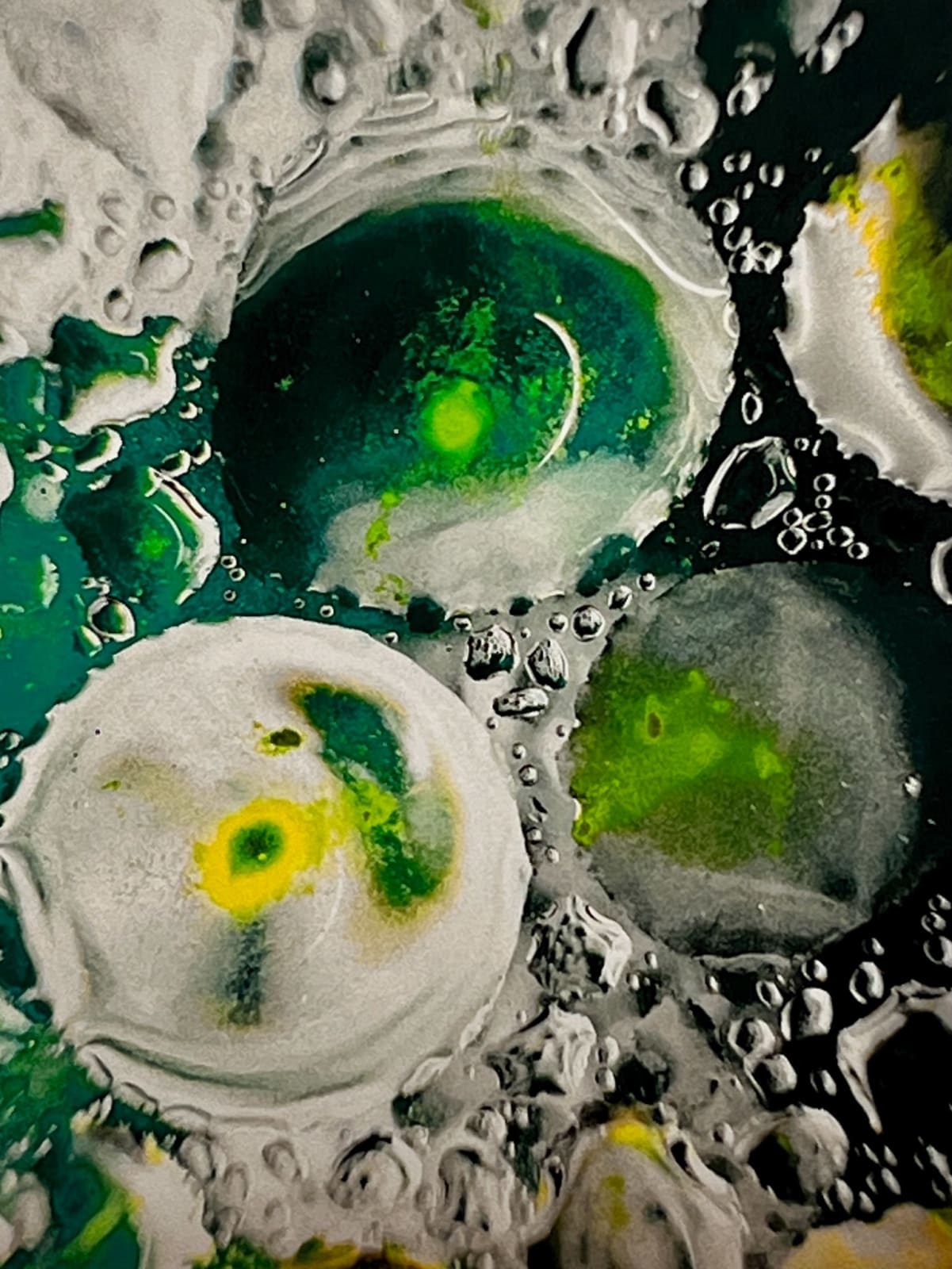 Vladimir Kanic, Photosynthetic Archives I pt. II, 1/12, 2025