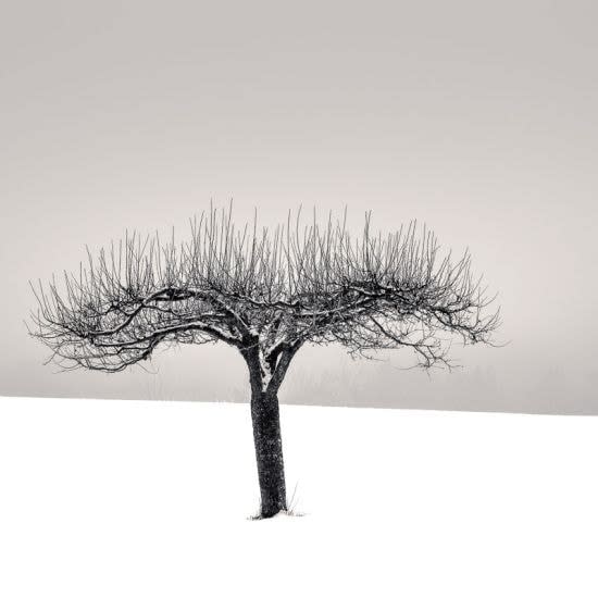 Peter Dušek, Reaching 2/5 Hockley Valley, ON, 2016