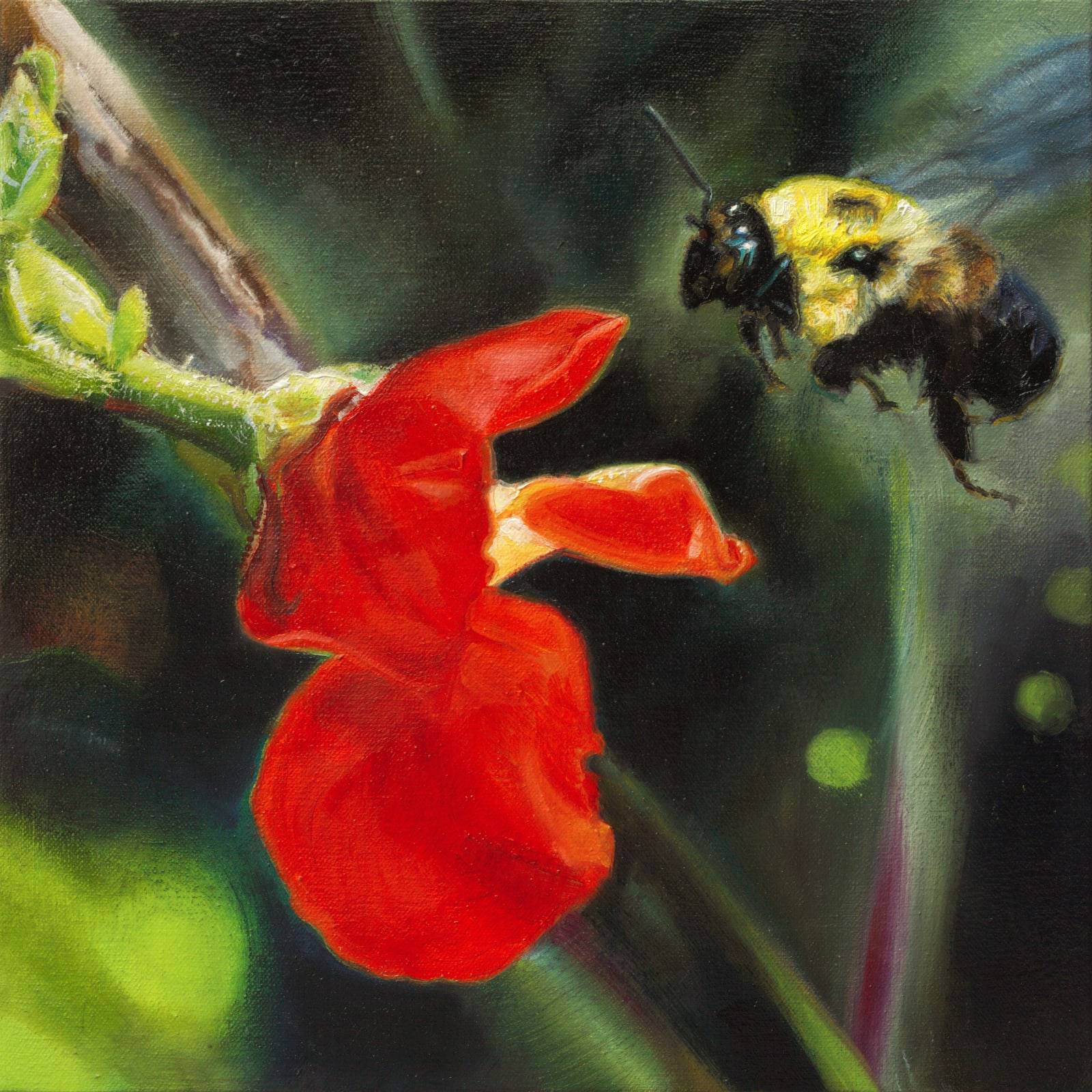 Jennifer Walton, Scarlet runner bean flower and a bumblebee, 2022