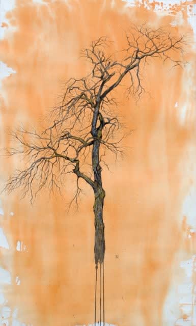Duane Nickerson, Arc, 2021