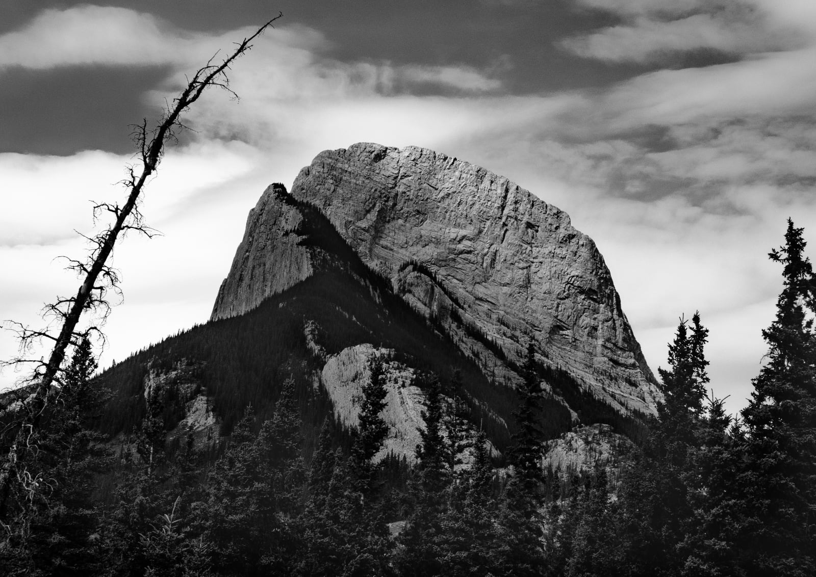 Steve Kean, Alberta Dome, ed. of 7, 2025
