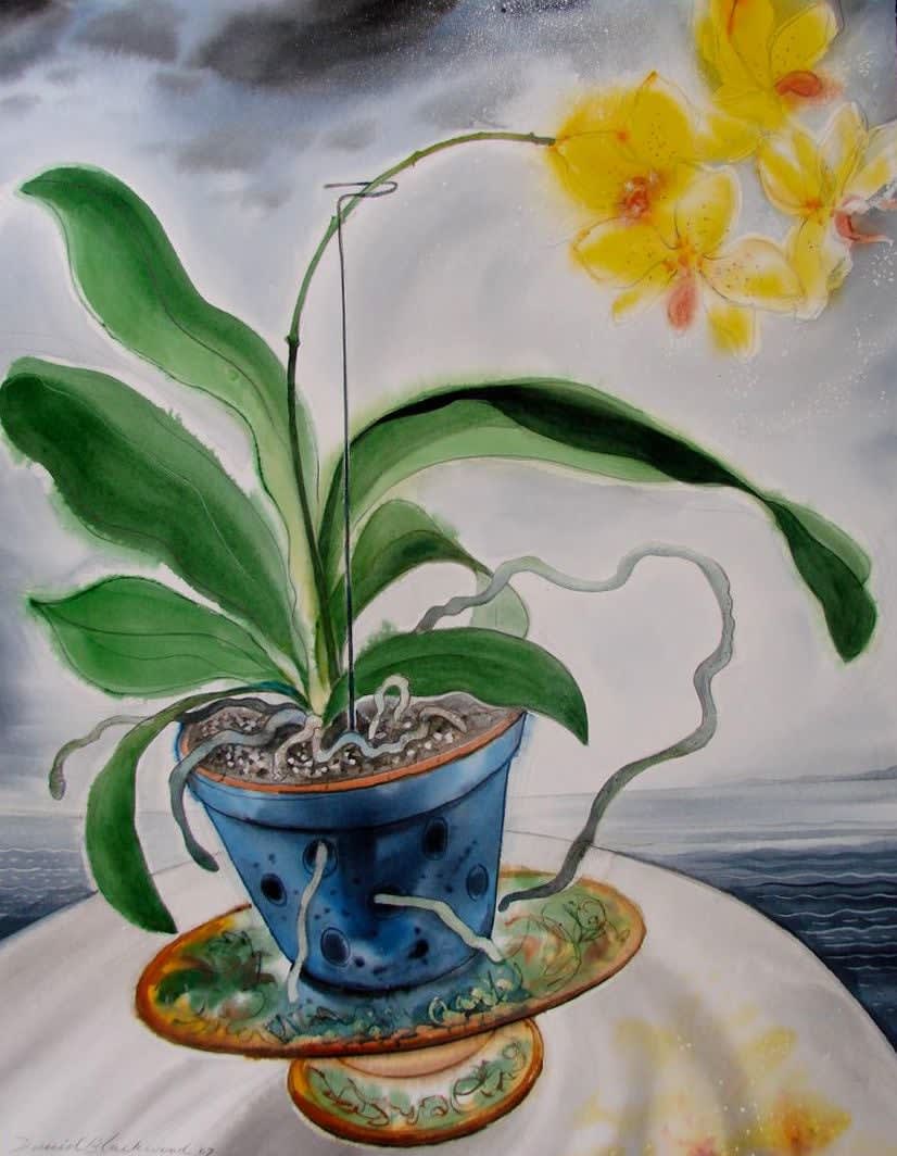 David Blackwood, Yellow Phaleonopsis, 2007