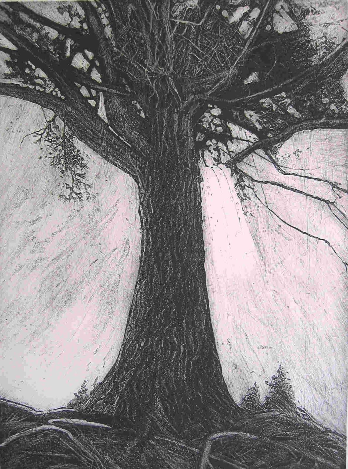 Dan Steeves, Epektasis 10/20, 1999