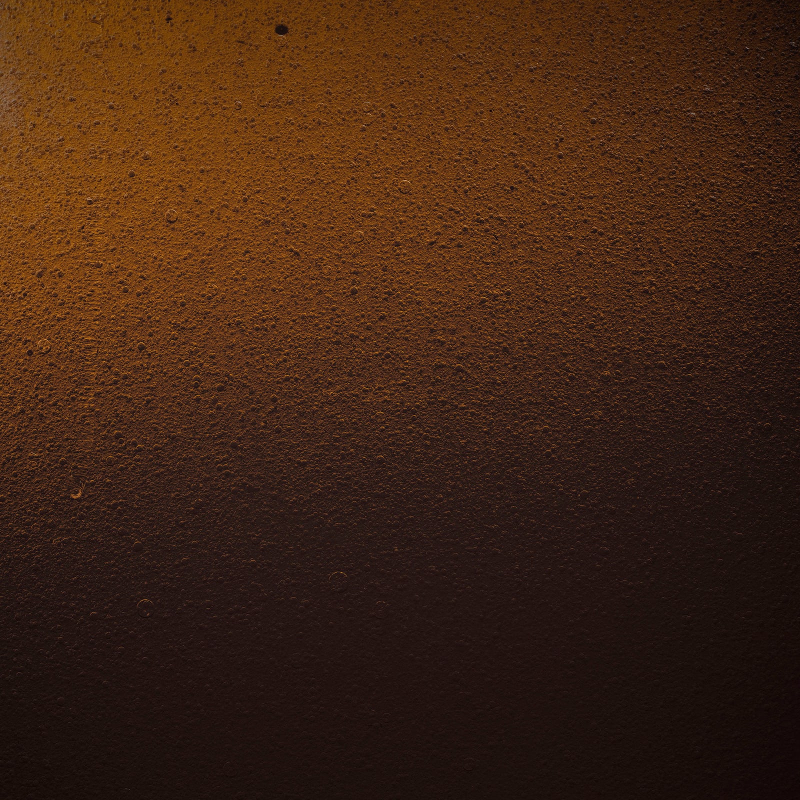 Stéphane Alexis, The Artist, 2021