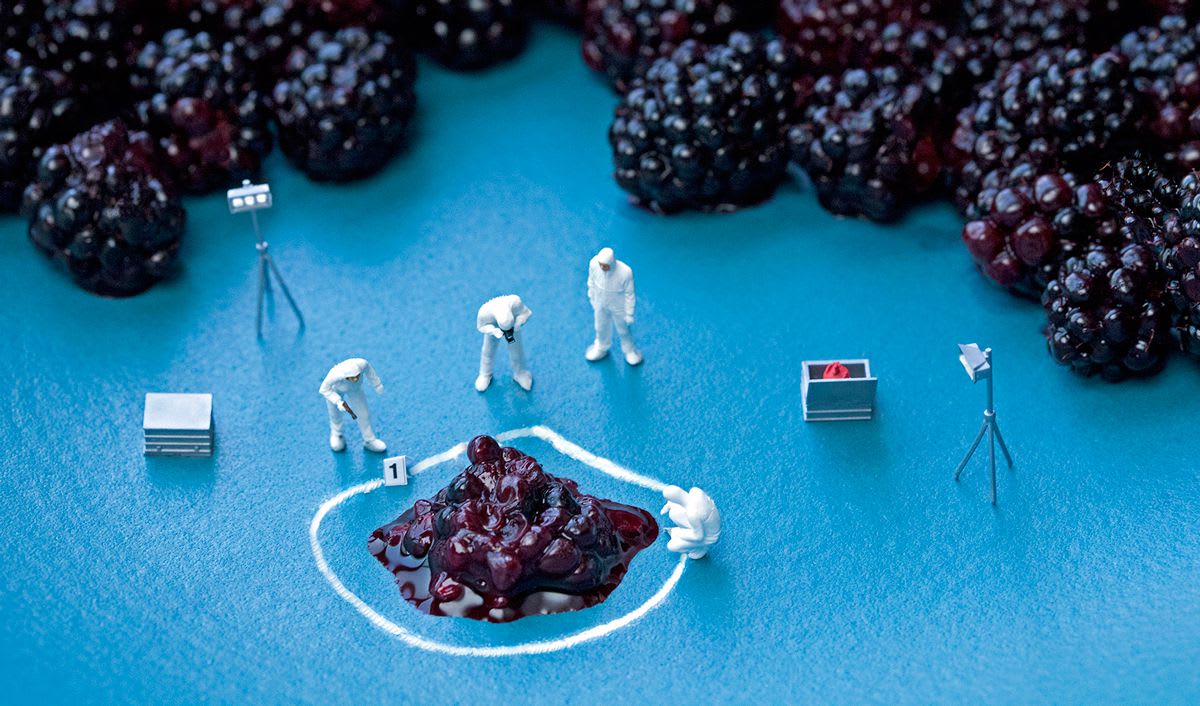 Christopher Boffoli, Blackberry c.s.i. 12/30, 2011