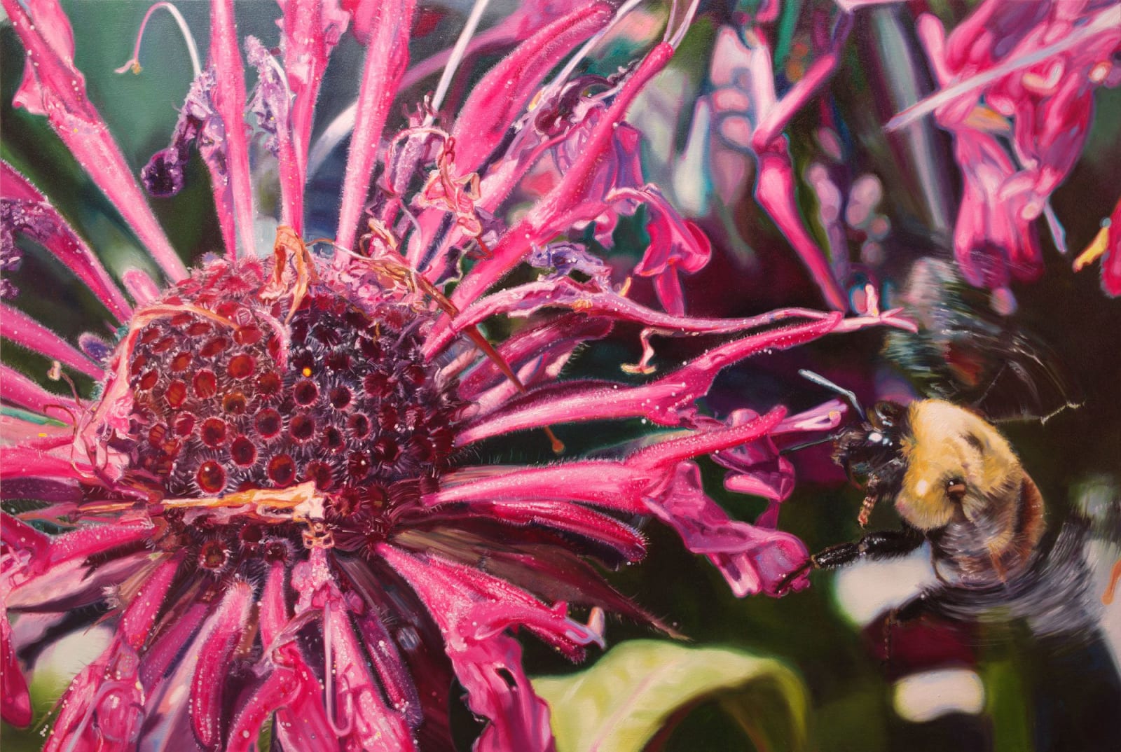 Jennifer Walton, Bee Balm, 2019