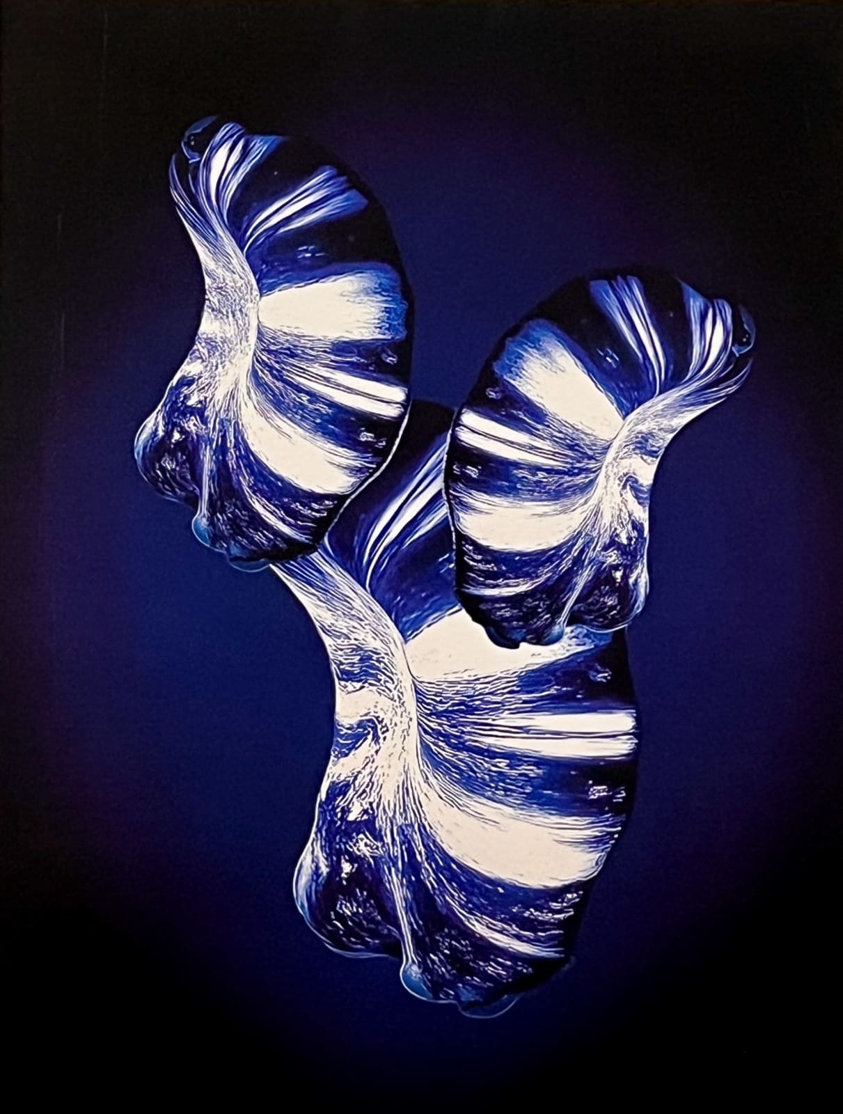 Vladimir Kanic, Future Tales of Long Ago, Regoč, 1/12, 2025