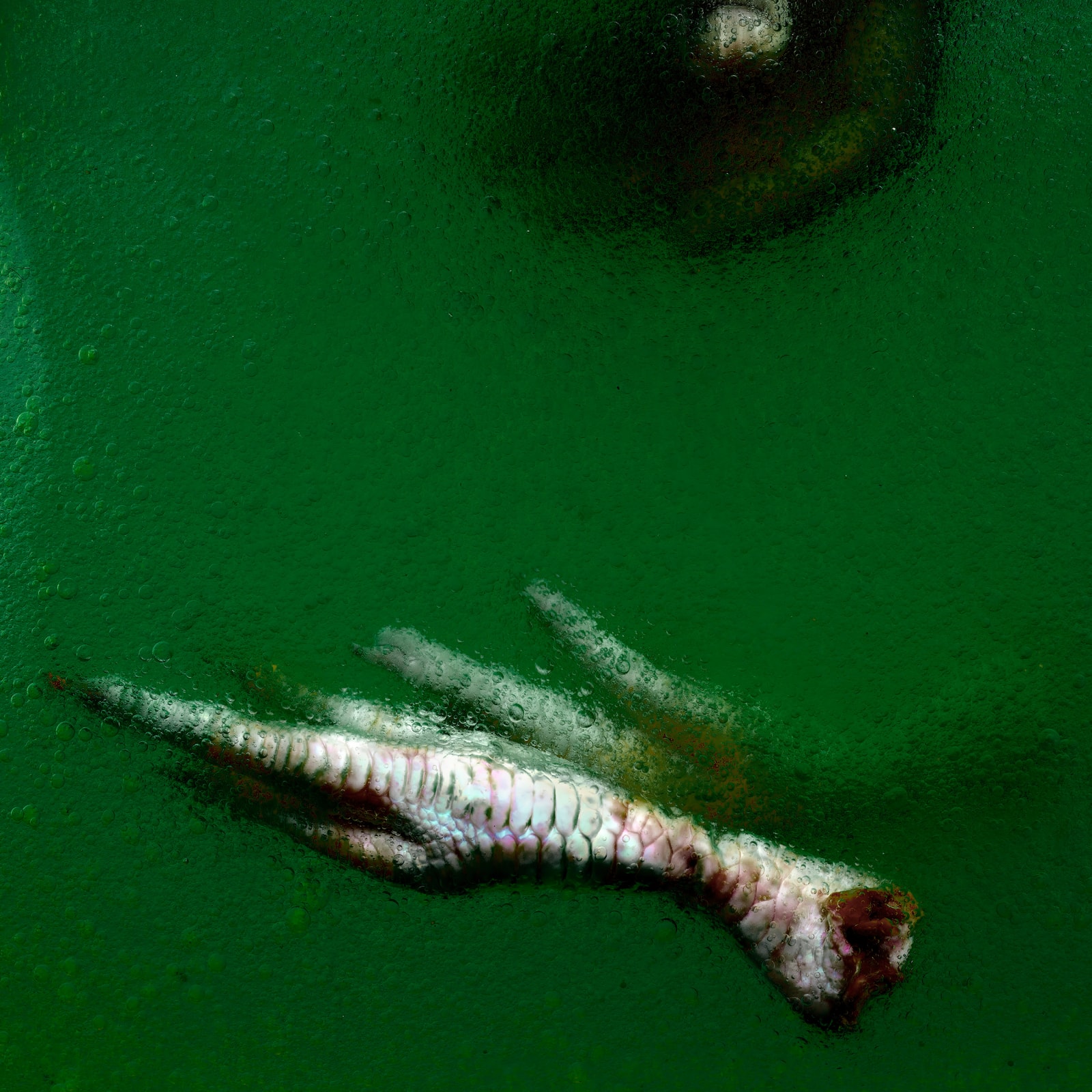 Stéphane Alexis, We Die Together, 2021