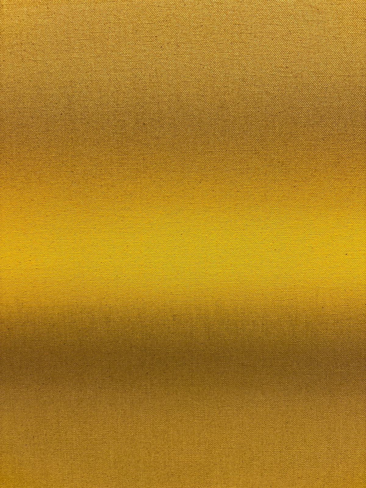 Ali Pilli, Tiger's Eye, 2024