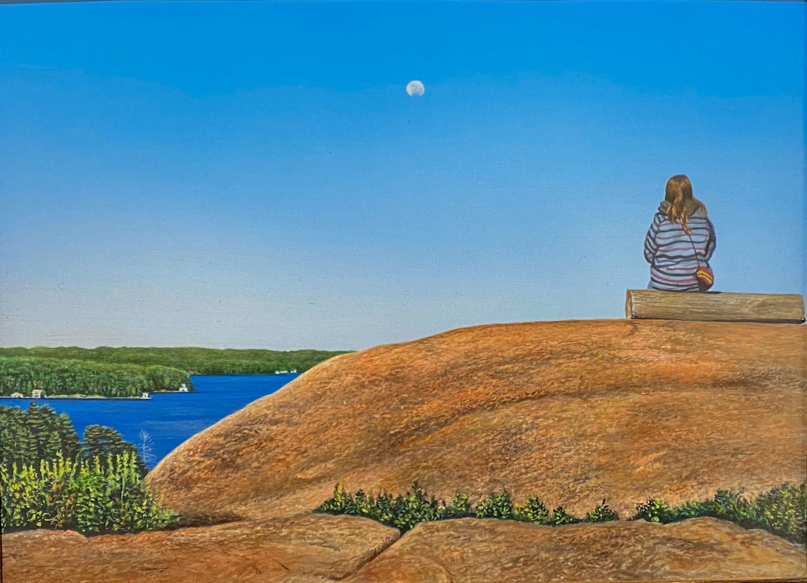 D.A. Dunford, Huckleberry Rock