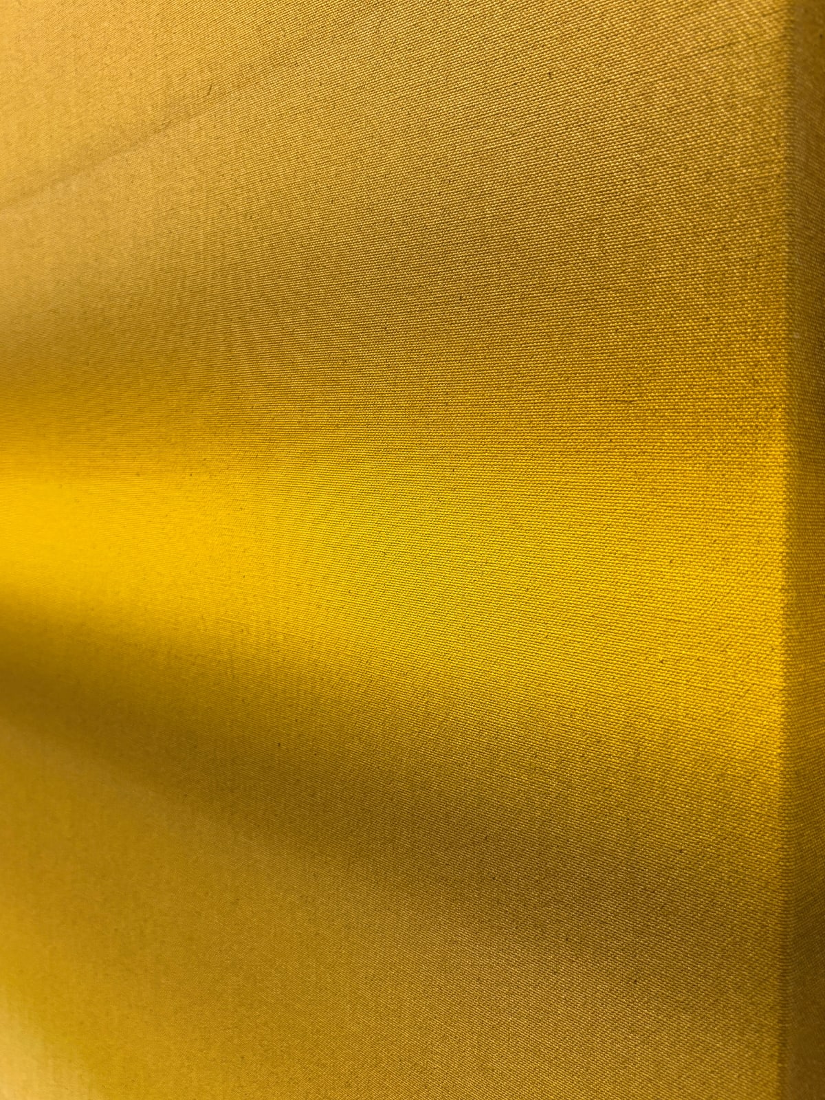 Ali Pilli, Tiger's Eye, 2024