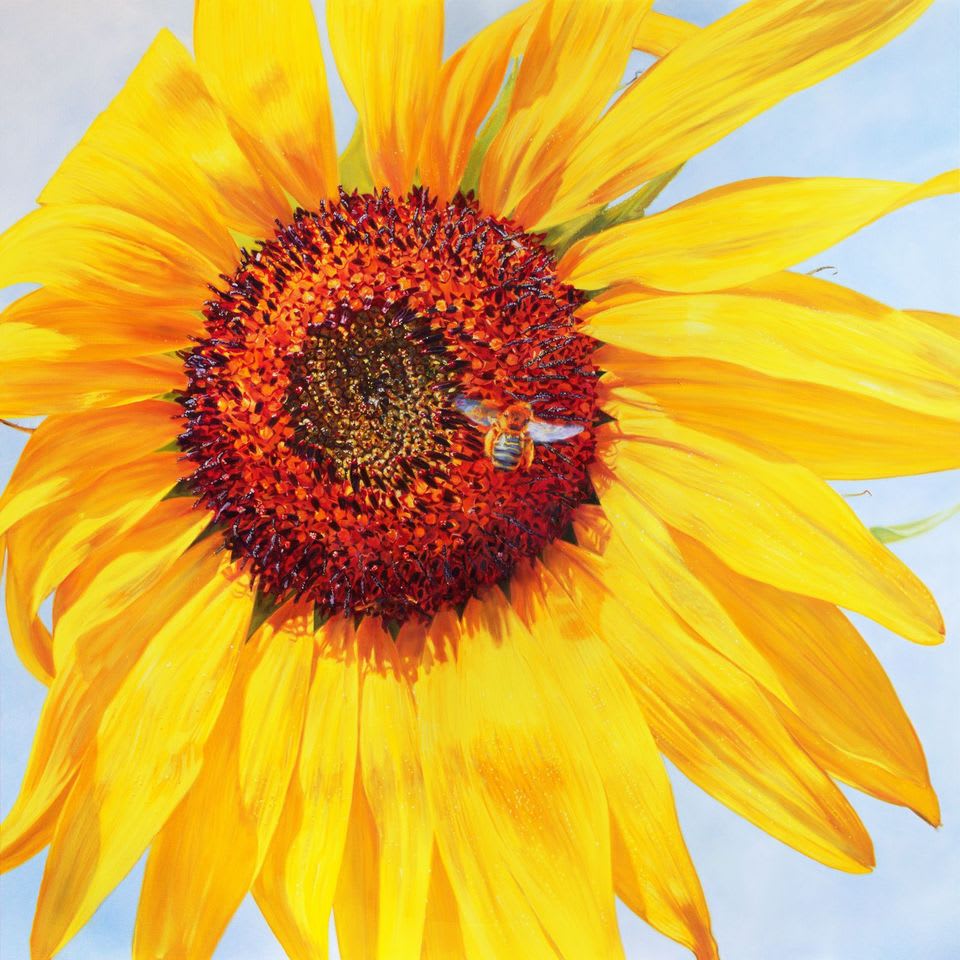 Jennifer Walton, Sunflower with Little Bee, 2021