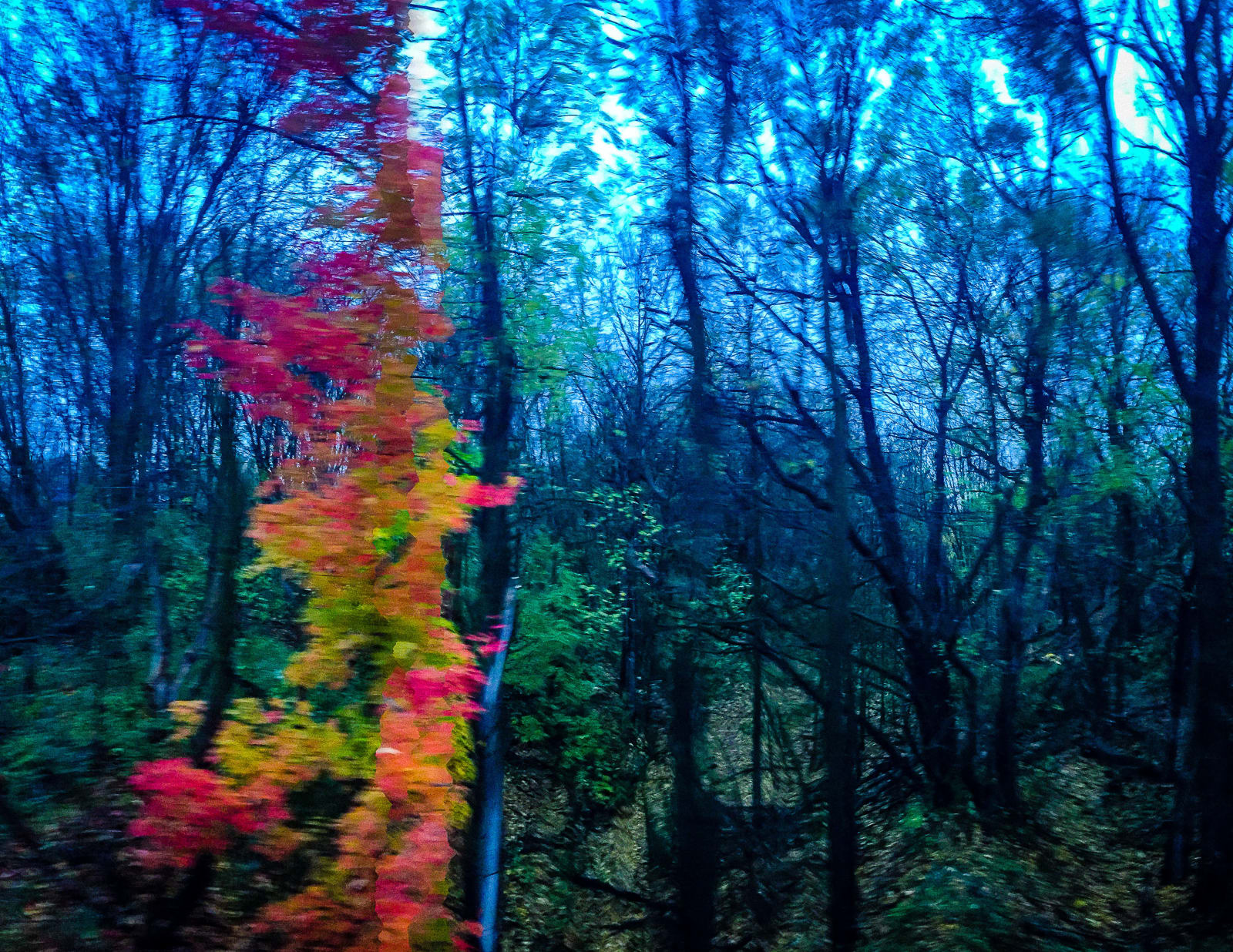 Steve Kean, Autumn Run, ed. of 25, 2024