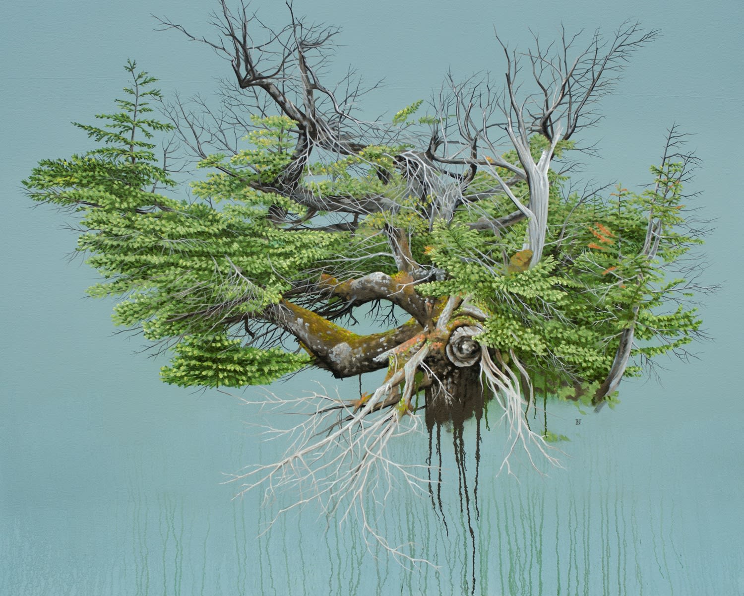 Duane Nickerson, Tuckamore, 2018