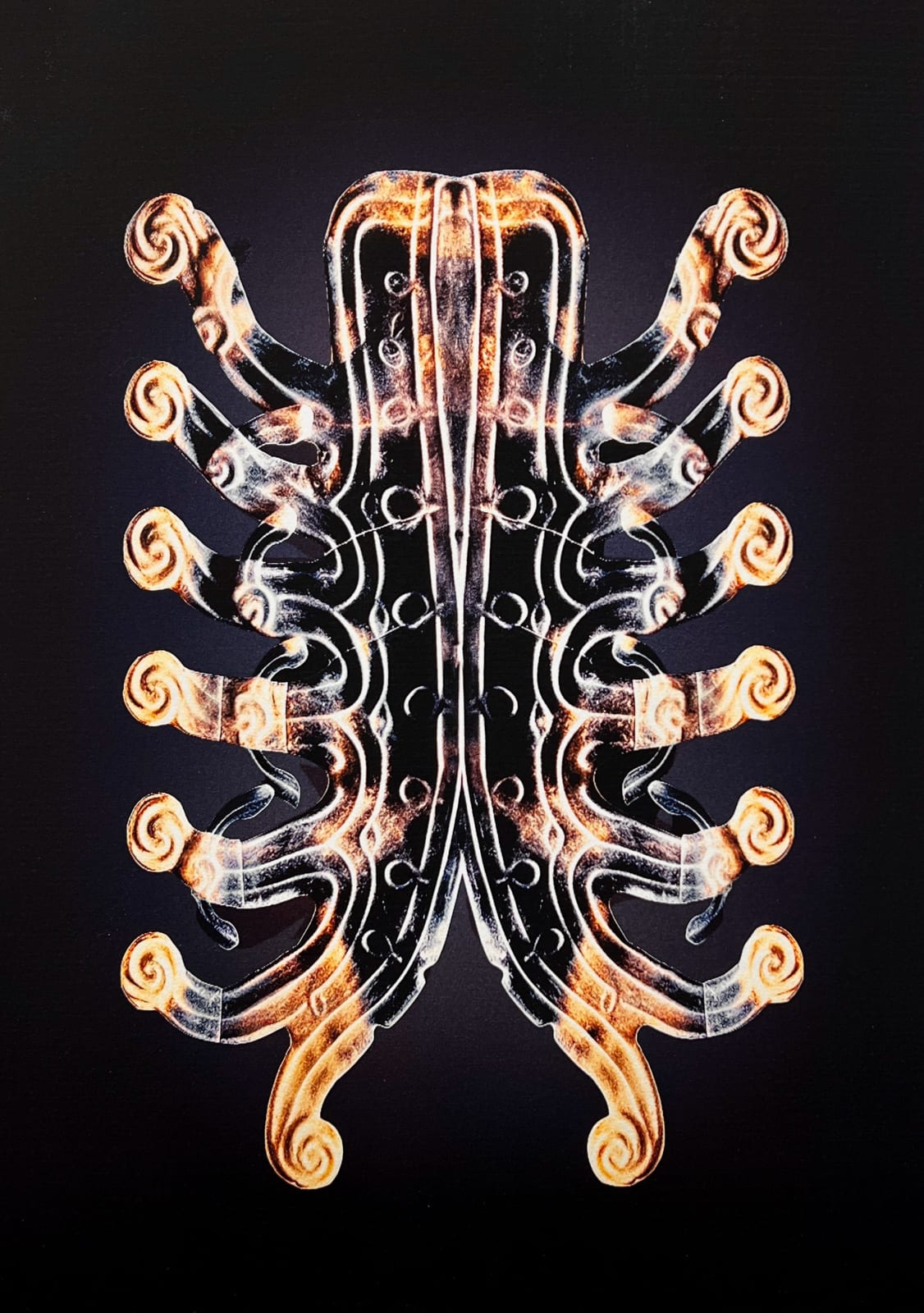 Vladimir Kanic, Photosynthetic Archives II, pt. III, 1/12, 2025
